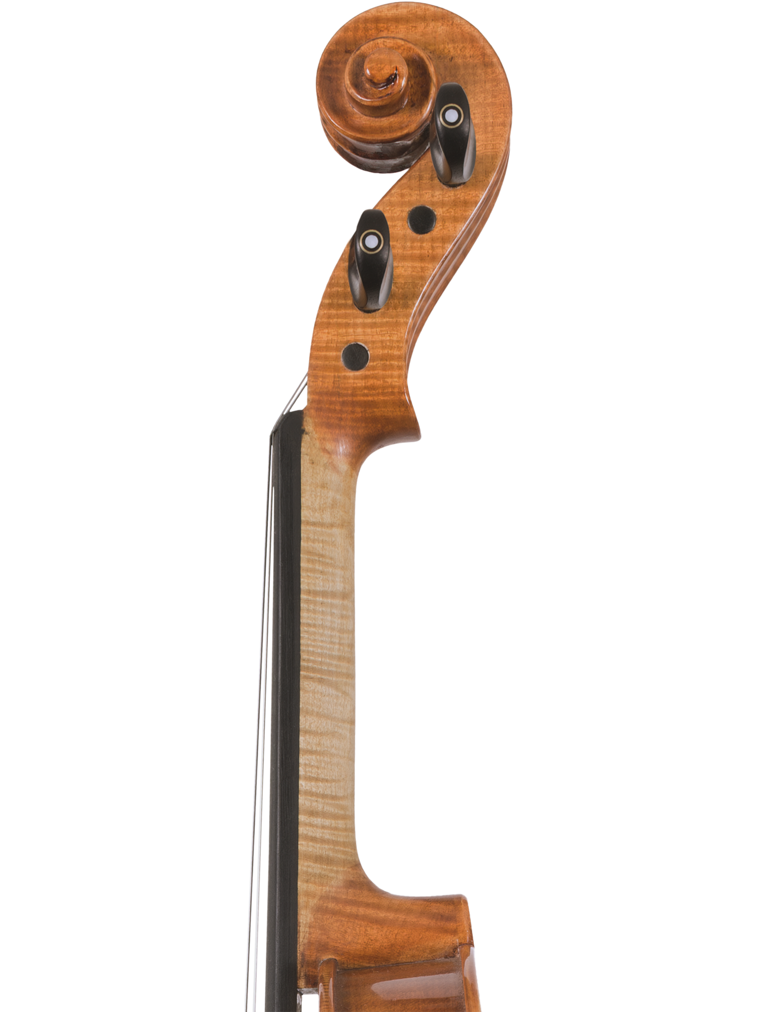 Canzona Milano Violin Outfit