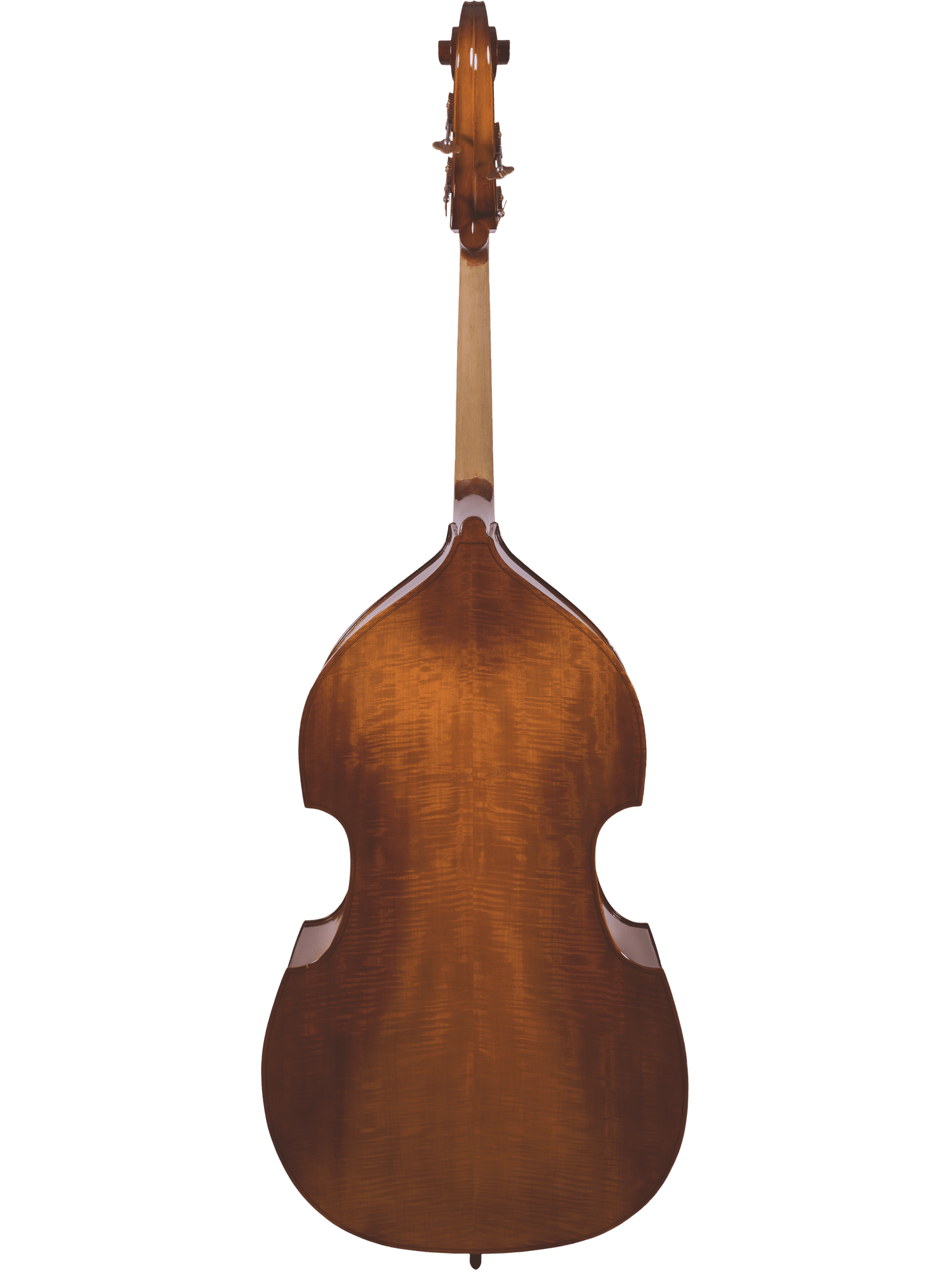 Canzona 200 Sonata Bass Outfit