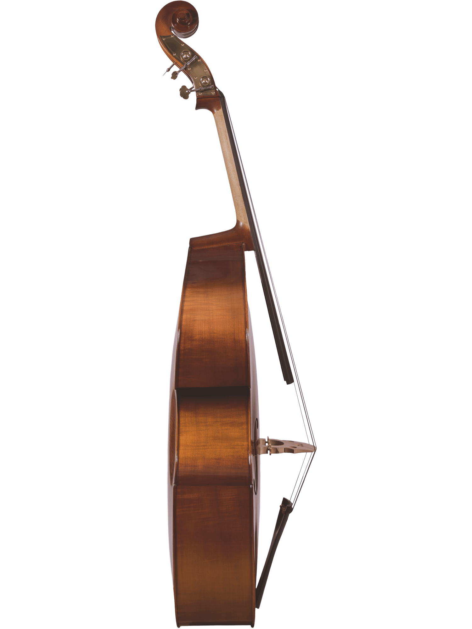 Canzona 200 Sonata Bass Outfit