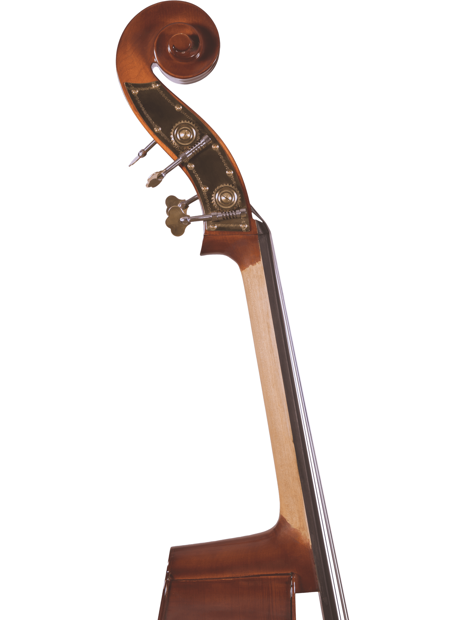 Canzona 200 Sonata Bass Outfit