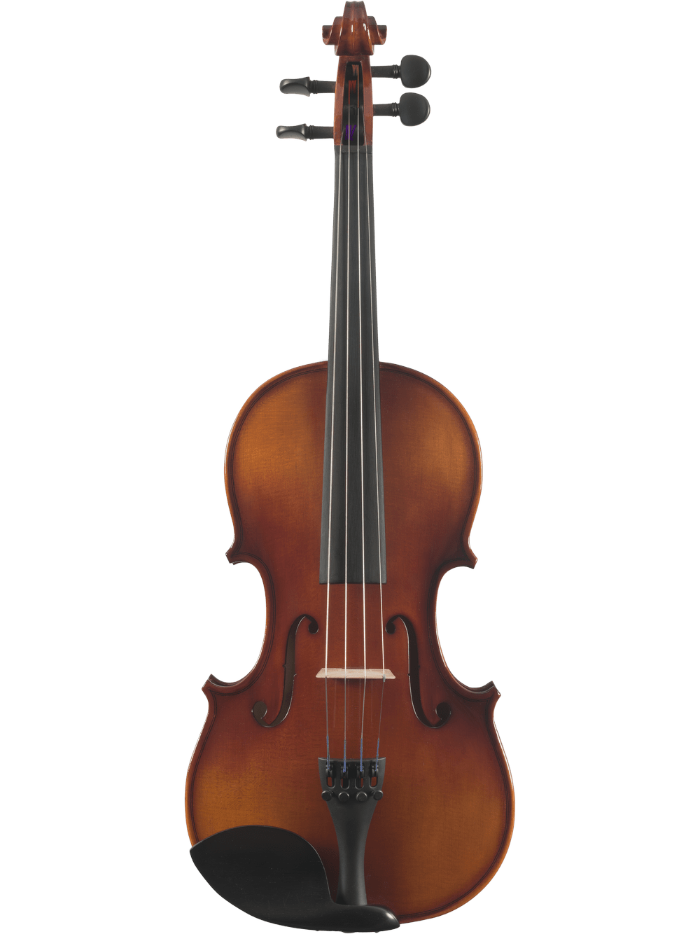 Canzona Sonata 200 Series Viola Outfit