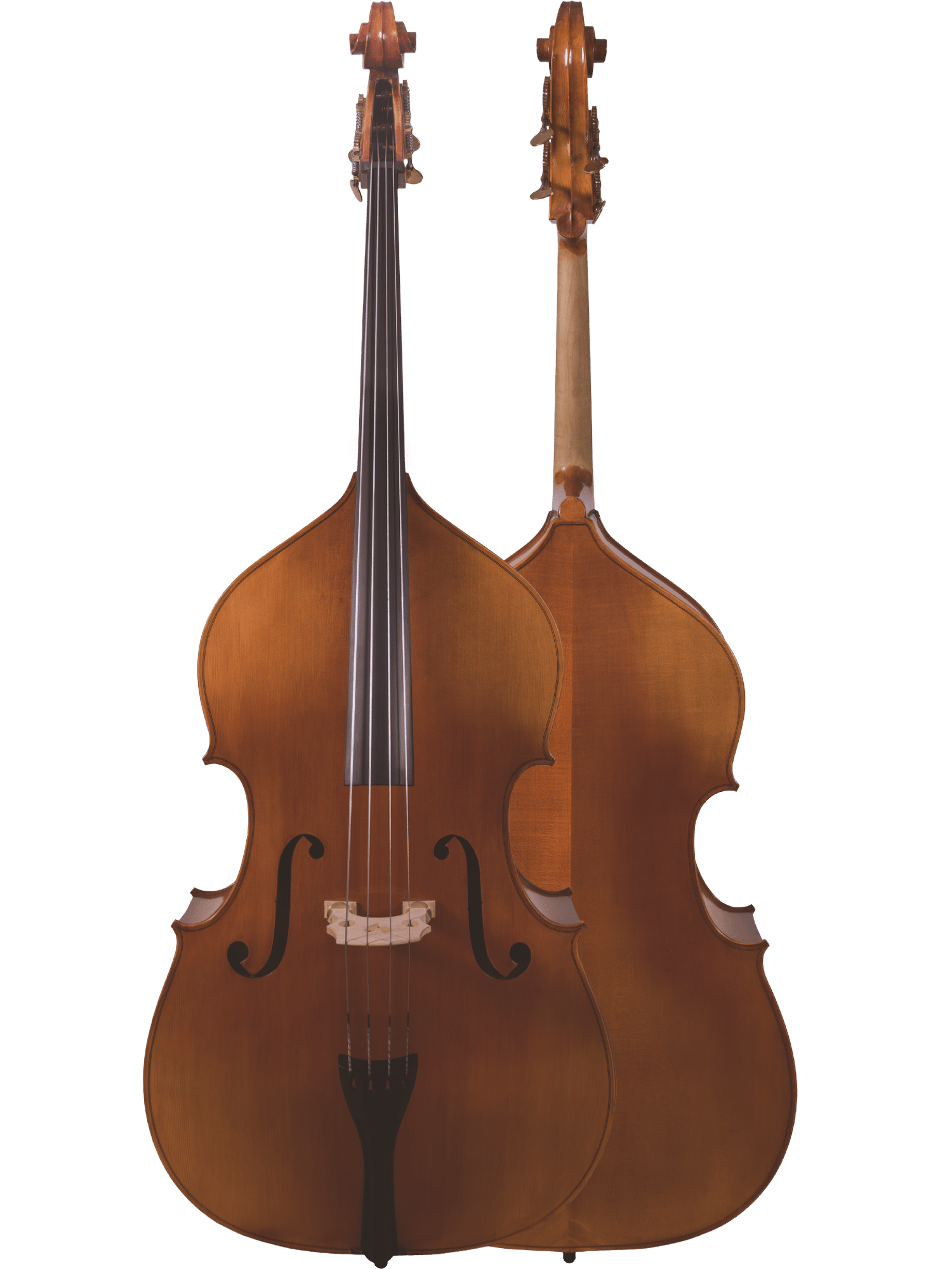 Canzona 300 Caprice Bass