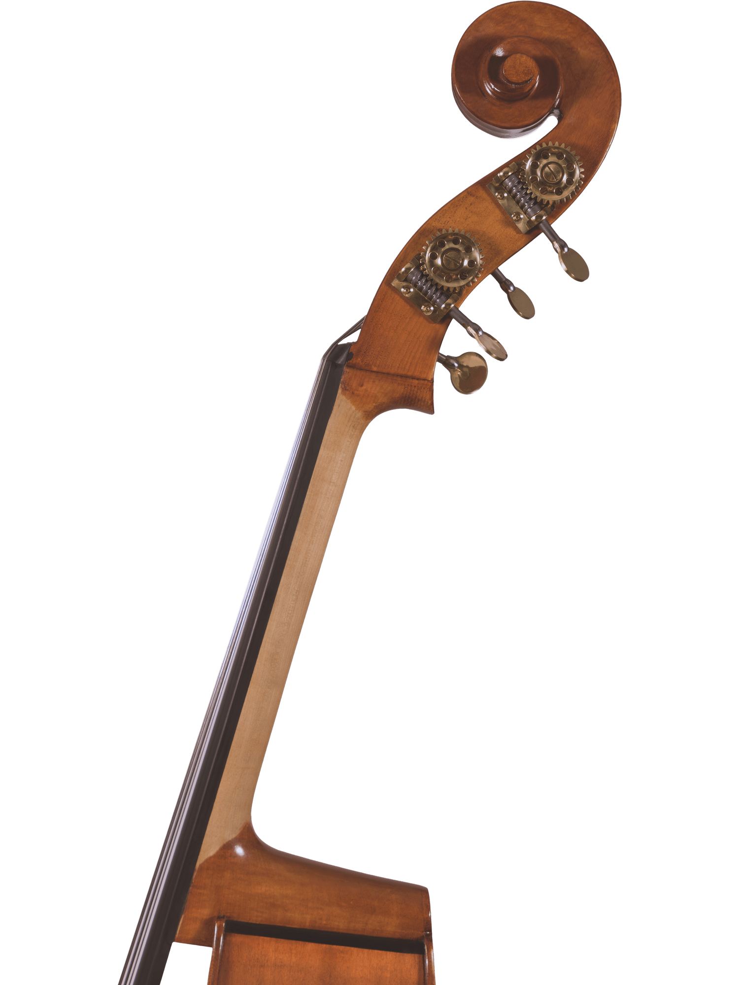 Canzona 300 Caprice Bass