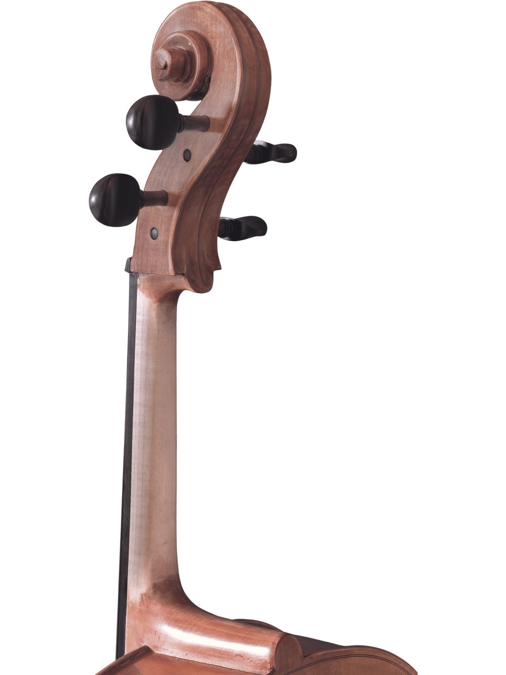 Canzona Caprice 300 Cello Outfit