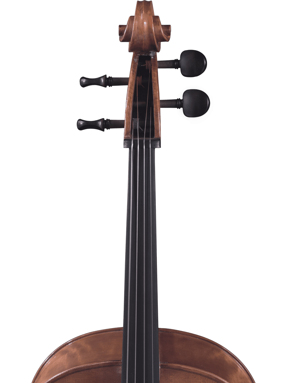 Canzona Caprice 300 Cello Outfit