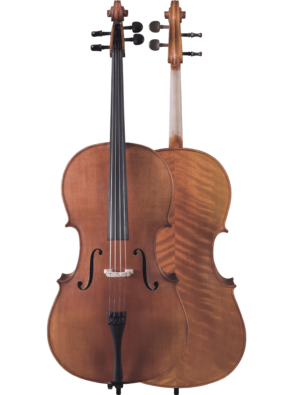 Canzona Caprice 300 Cello Outfit