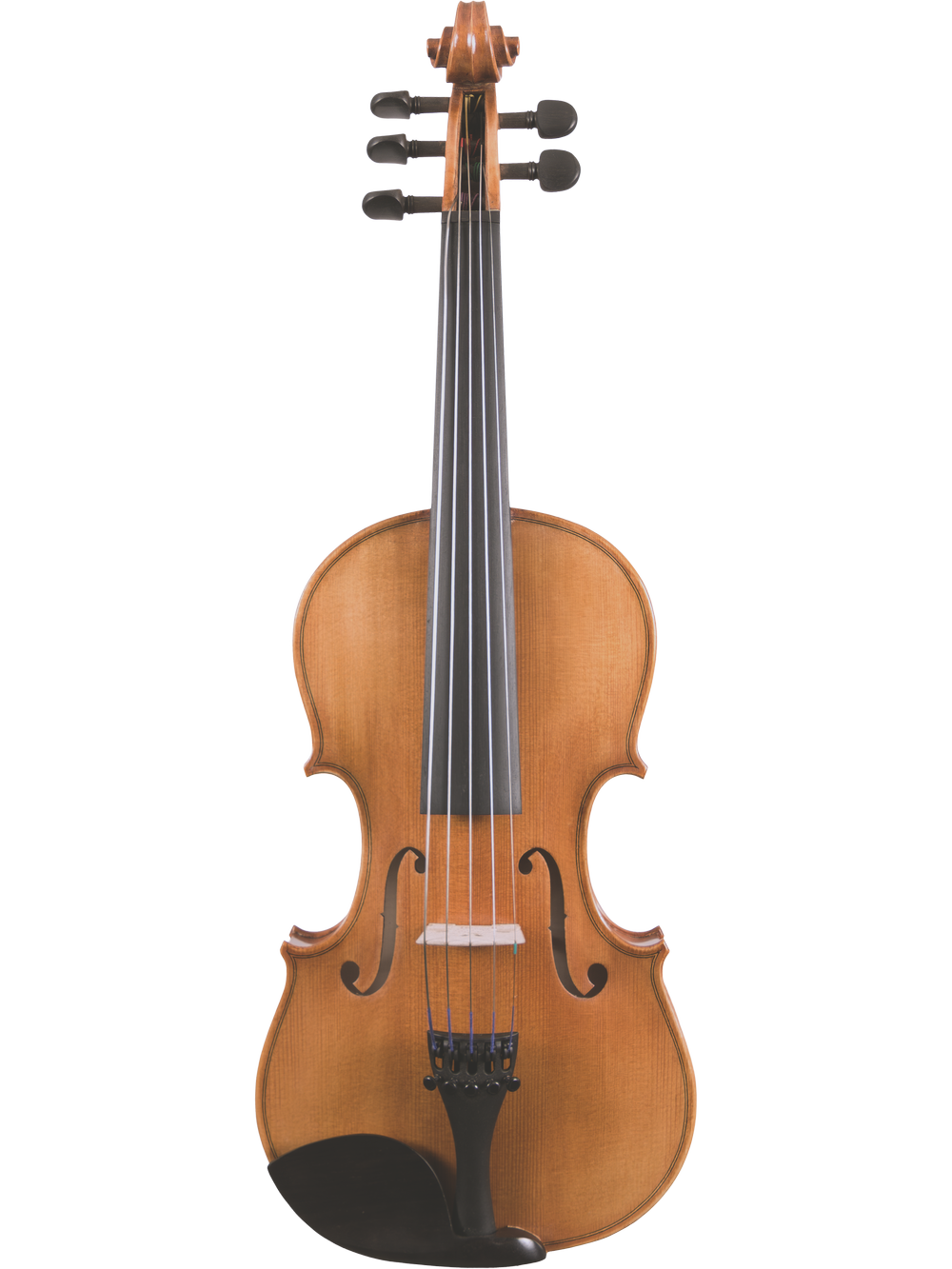 Canzona Violina Cinque 5-String Violin