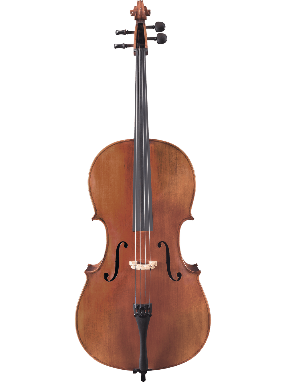Canzona Milano 400 Cello Outfit