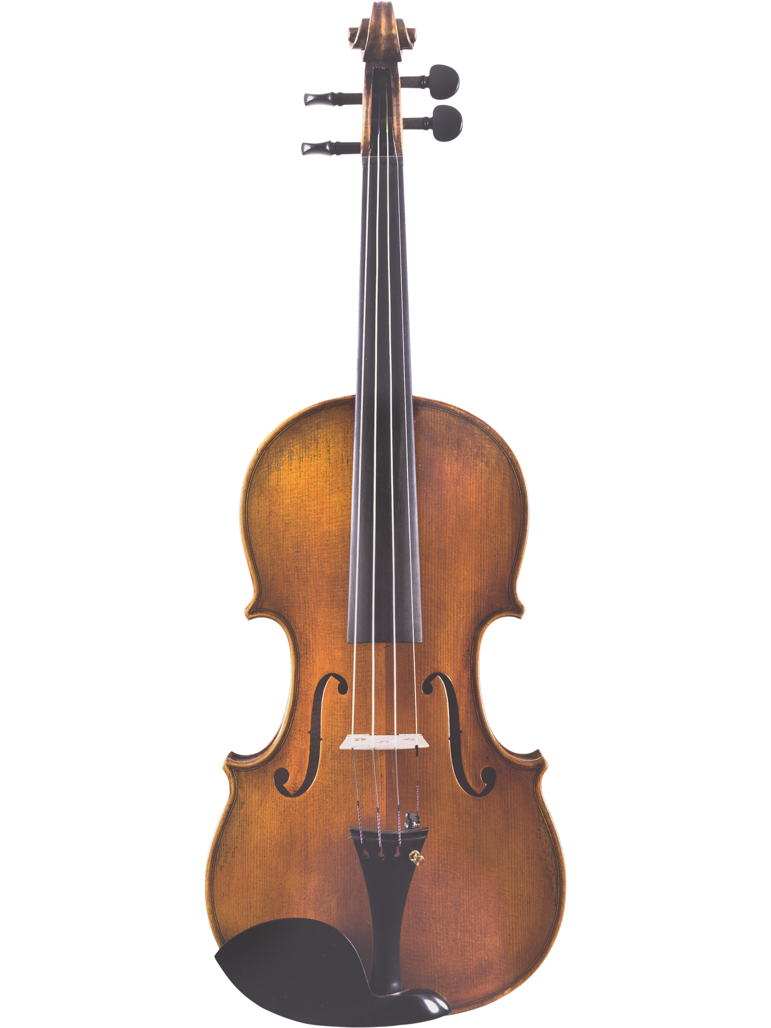 Canzona Lorenzo Intermediate Violin Outfit