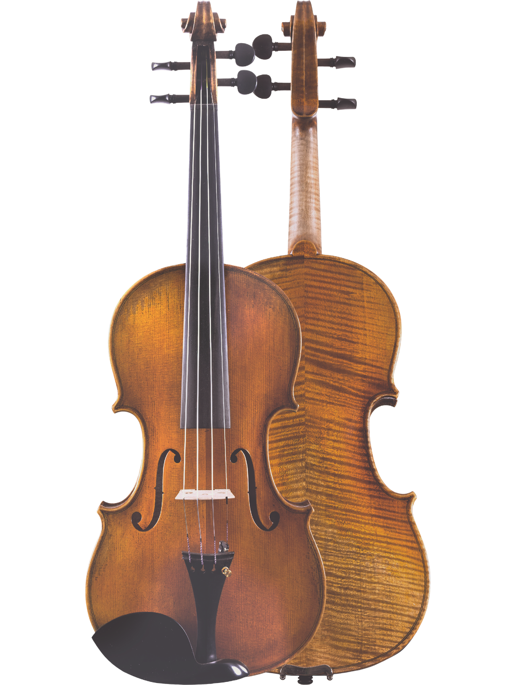 Canzona Lorenzo Intermediate Violin Outfit