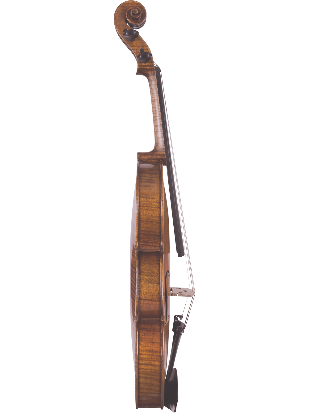 Canzona Lorenzo Intermediate Violin Outfit