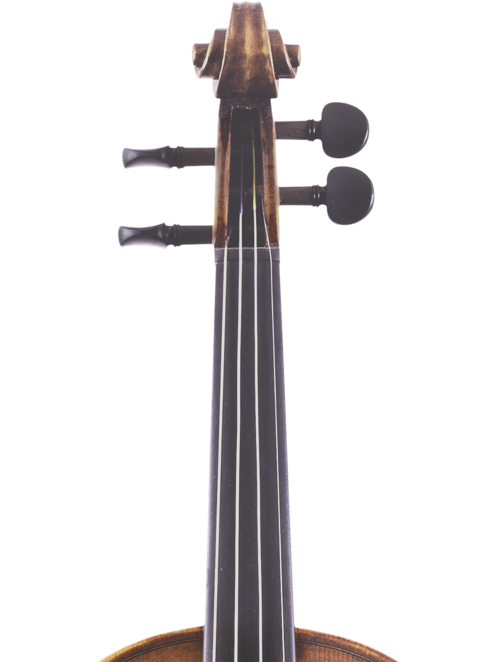 Canzona Lorenzo Intermediate Violin Outfit