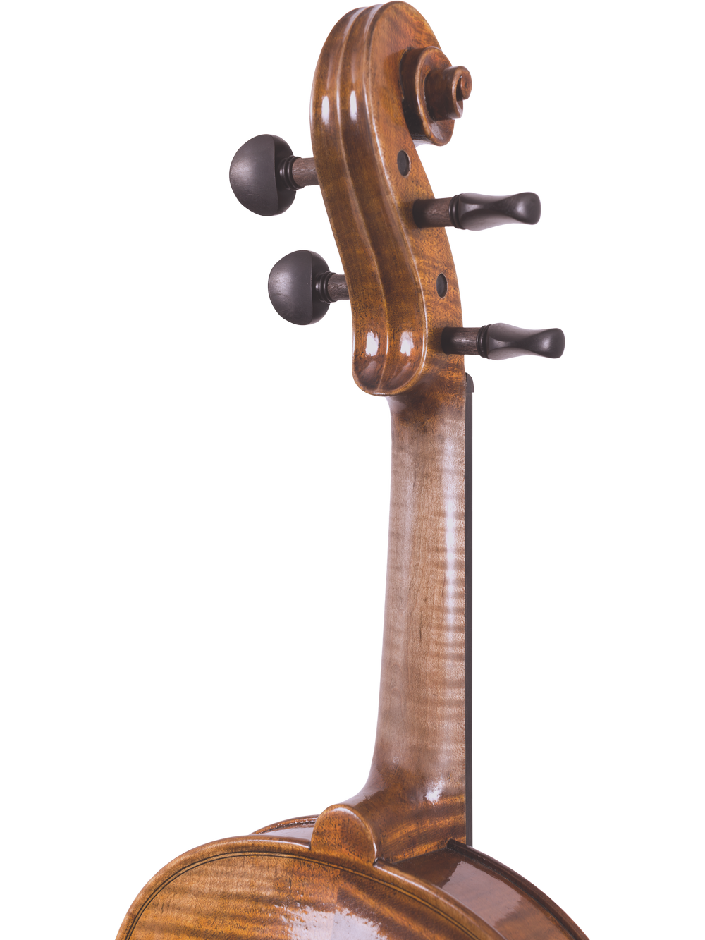 Canzona Lorenzo Intermediate Violin Outfit