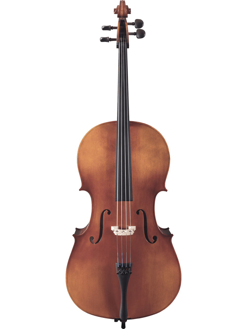 Canzona Allegro 100 Cello Outfit
