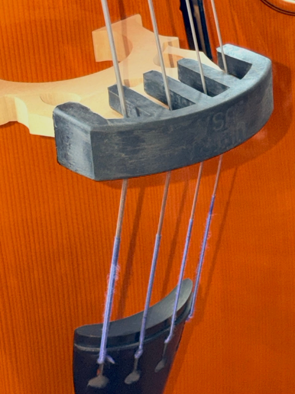 Close-up of a string instrument featuring the bridge, tailpiece, and four strings on polished wood. An Ultra Practice Bass Mute – Heavy Rubber (5-Prong) is attached for quiet practice and effective sound reduction, showcasing detailed texture.