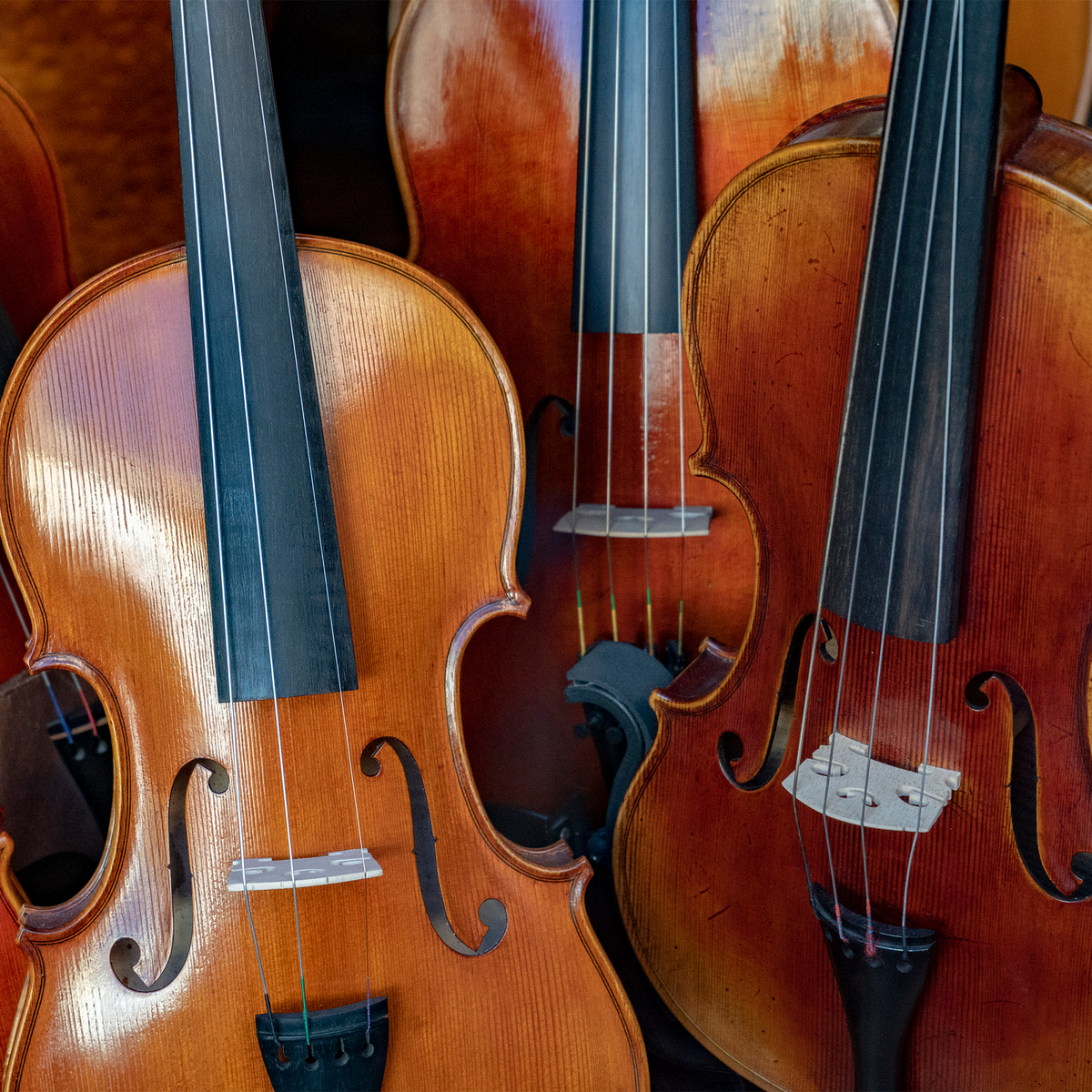 Atelier for Fine Stringed Instruments | Greenwich & Norwalk, CT