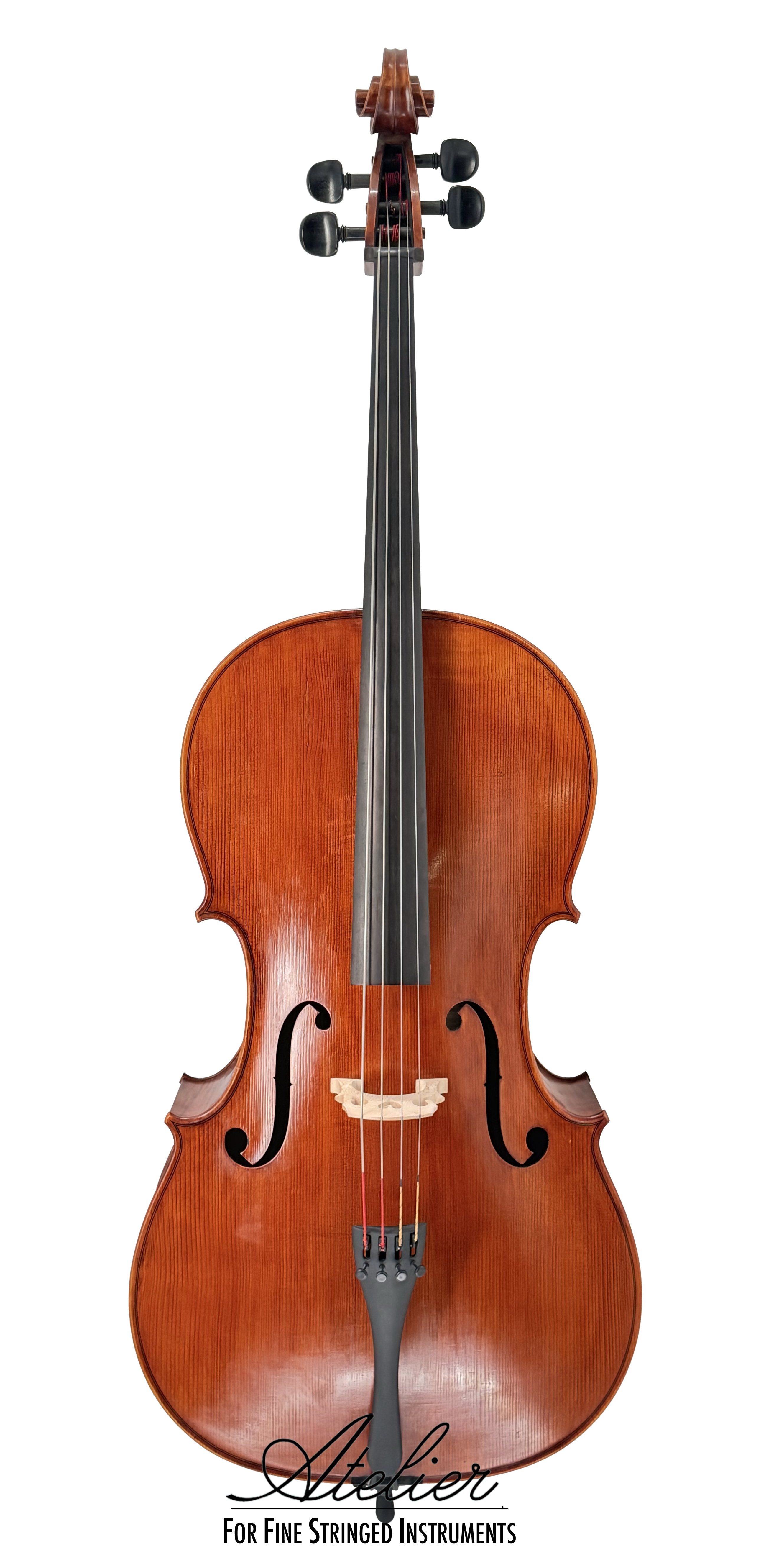 Juzek 303 Cello