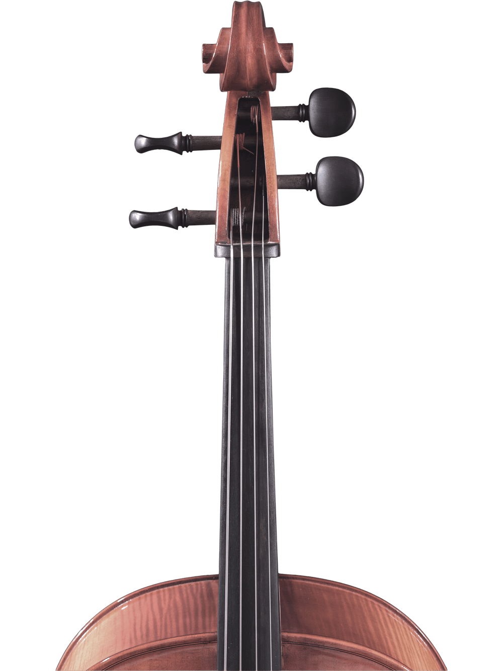 Canzona Sonata 200 Cello Outfit