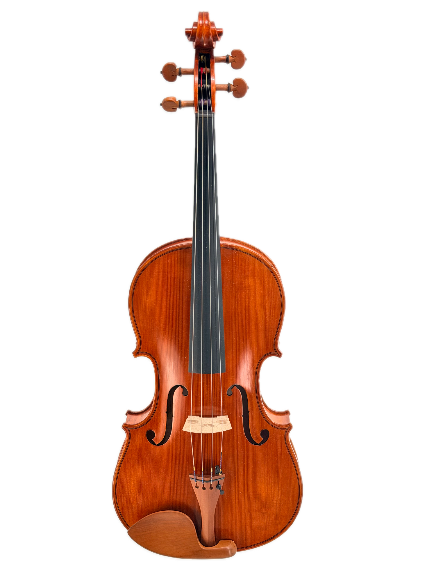 Eastman 200 Series Viola