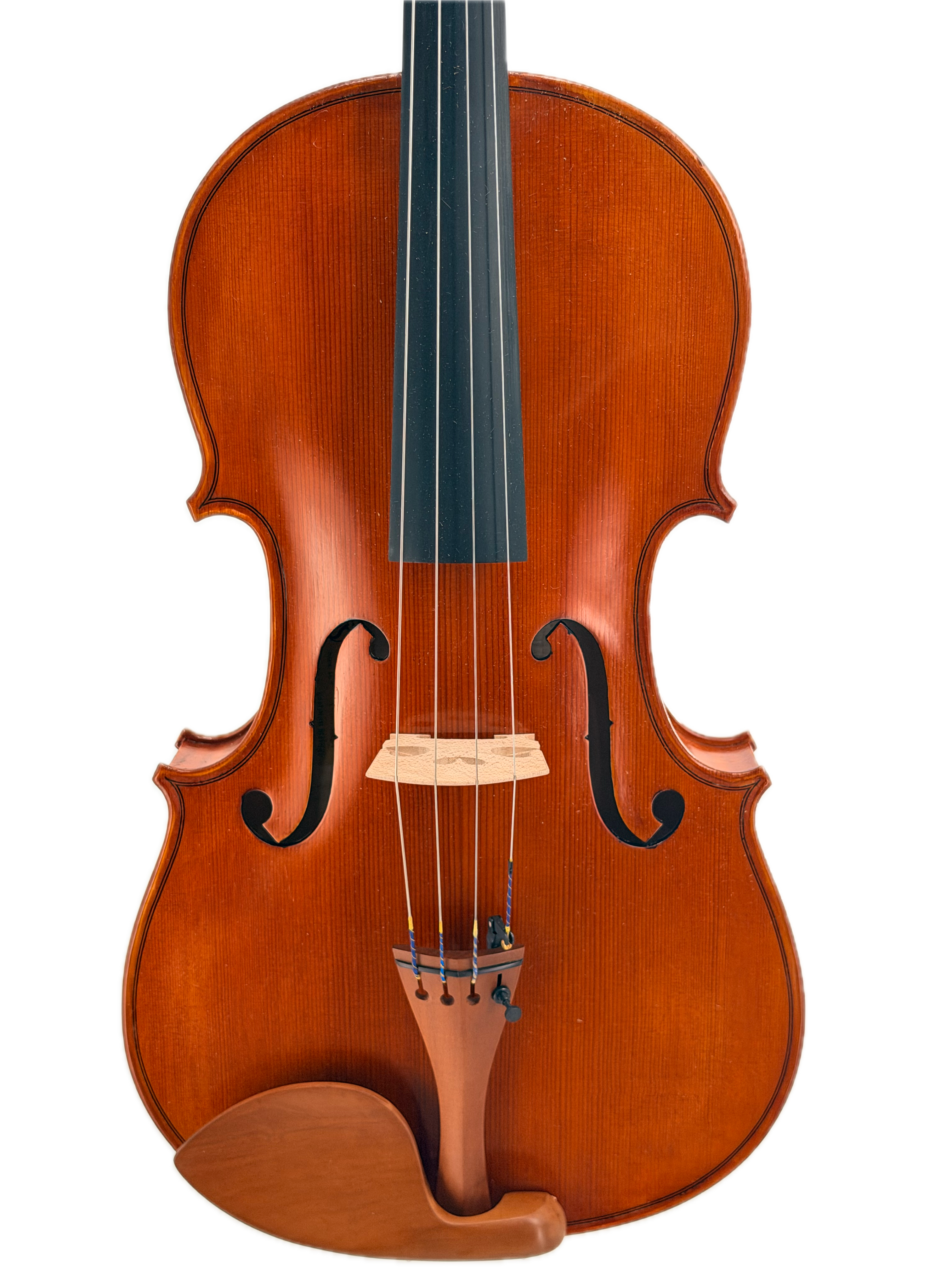 Eastman VL200 Closeup 
