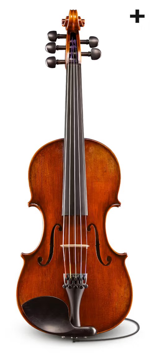 Eastman Rudoulf Doetsch 5-String Series+ VL7015+