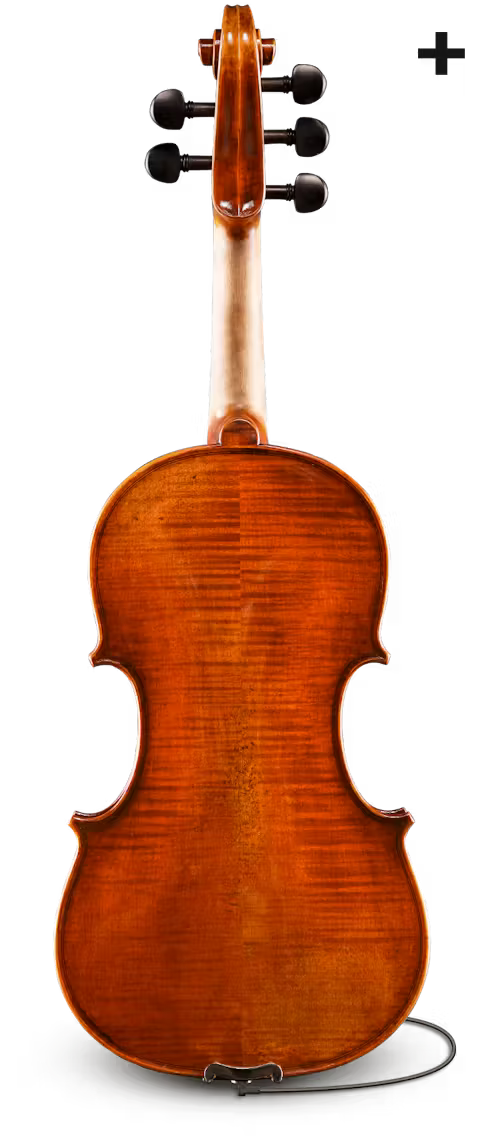 Eastman Rudoulf Doetsch 5-String Series+ VL7015+