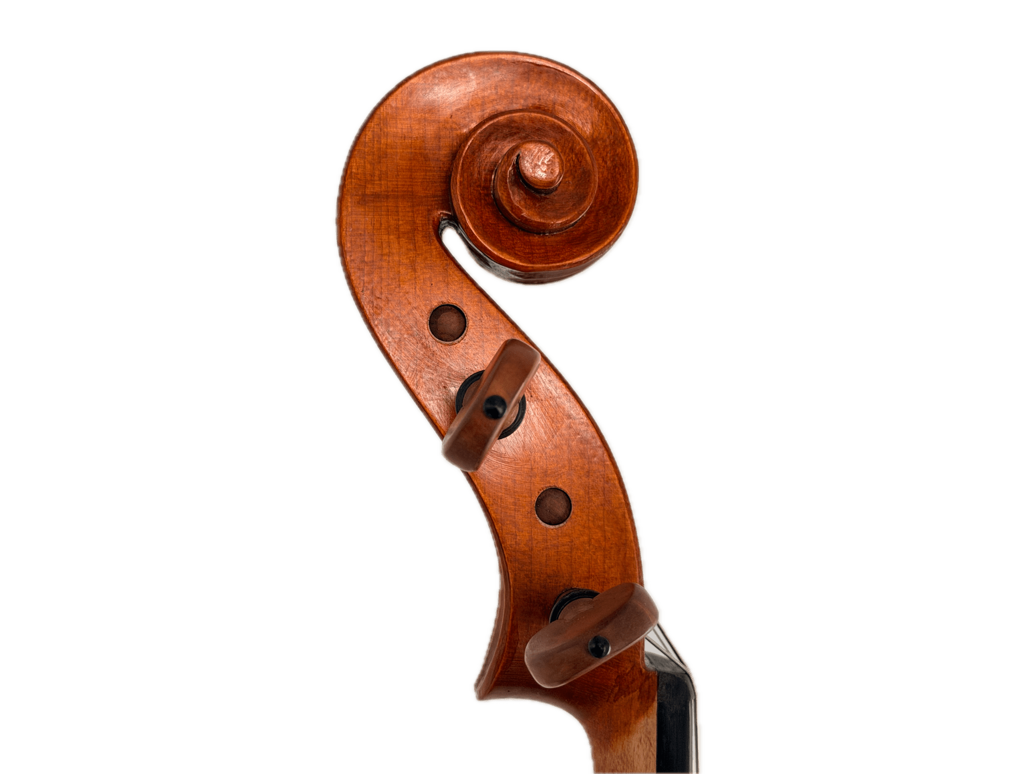 Close-up of the Andreas Eastman VA200 Stradivari Viola's wooden scroll and pegs against a white background, highlighting the elegant, curved top and fine detailing characteristic of this handcrafted instrument.