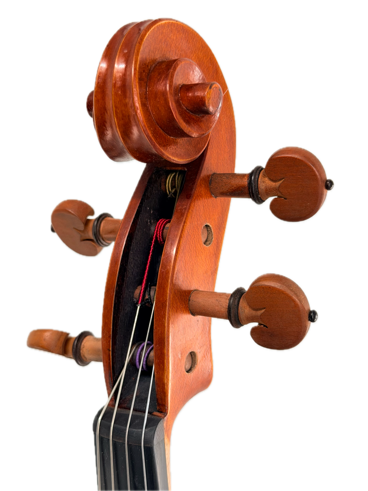 Close-up of the scroll and tuning pegs of a string instrument, likely a handcrafted viola such as the Andreas Eastman VA200 Stradivari Viola, featuring four strings and fine wood grain, isolated on a white background.