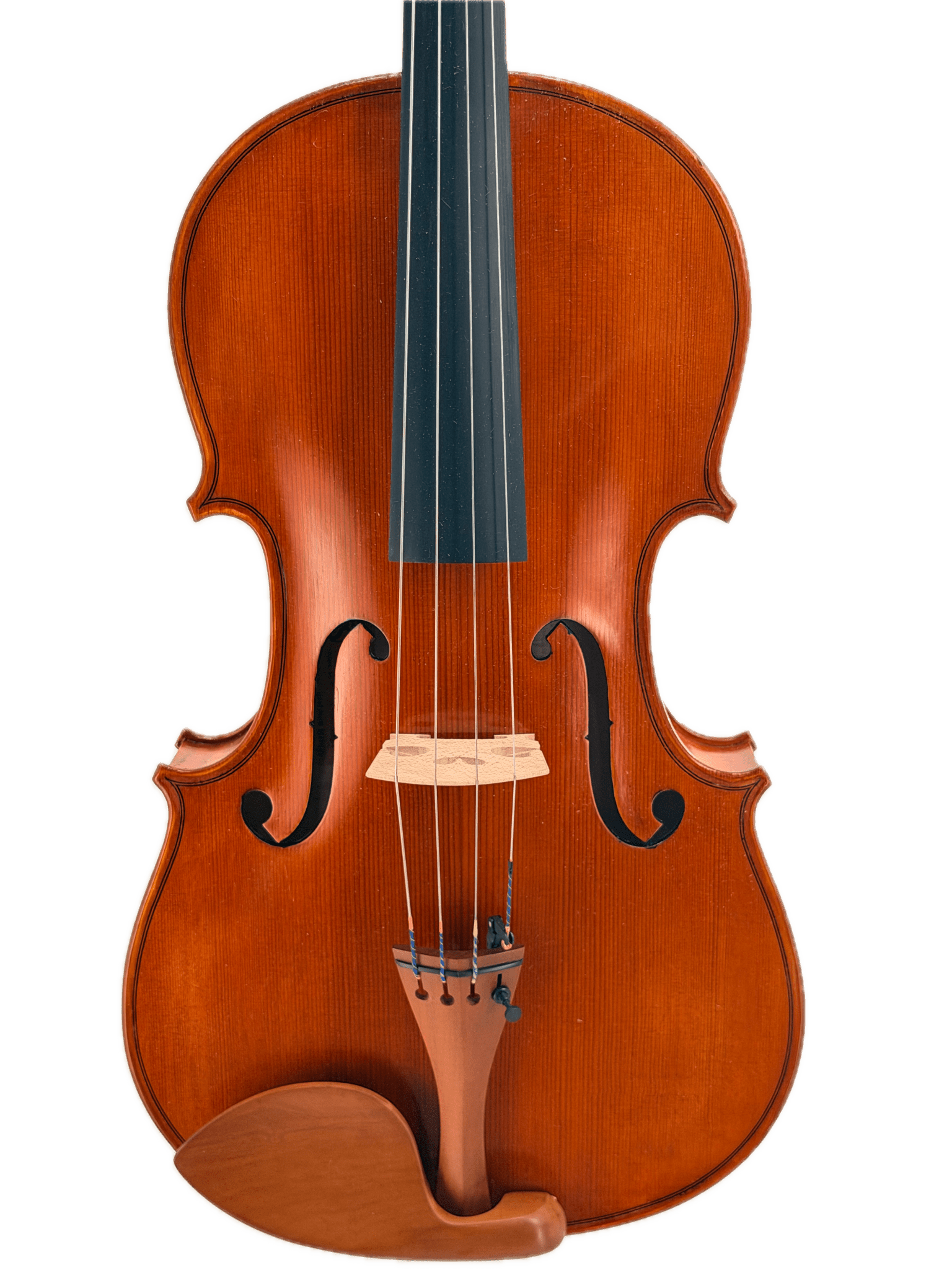 Eastman VL200 Closeup 