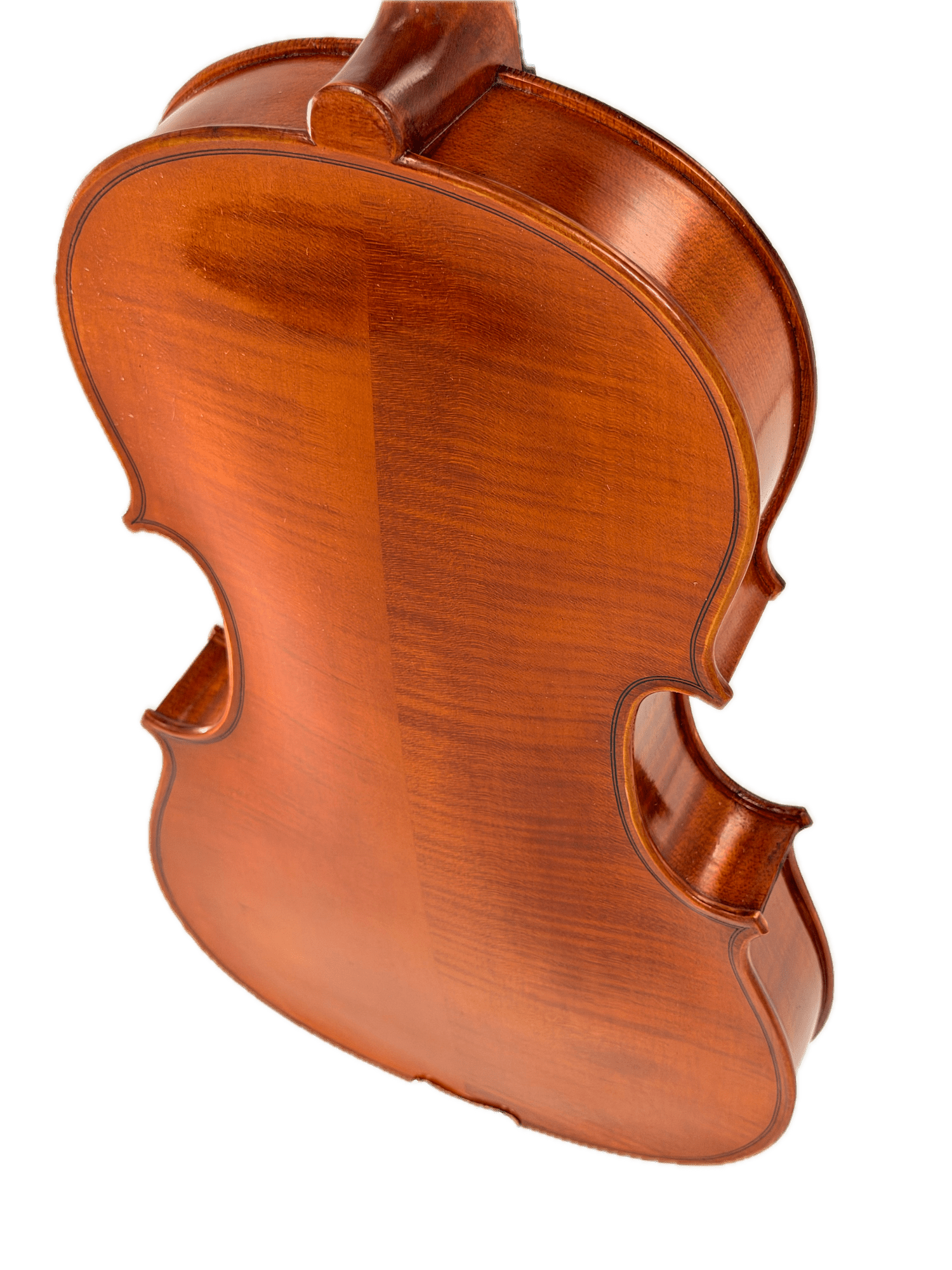 Close-up of the back of an Eastman VA200 viola showing the glossy brown wooden body and f-holes, isolated on a white background.