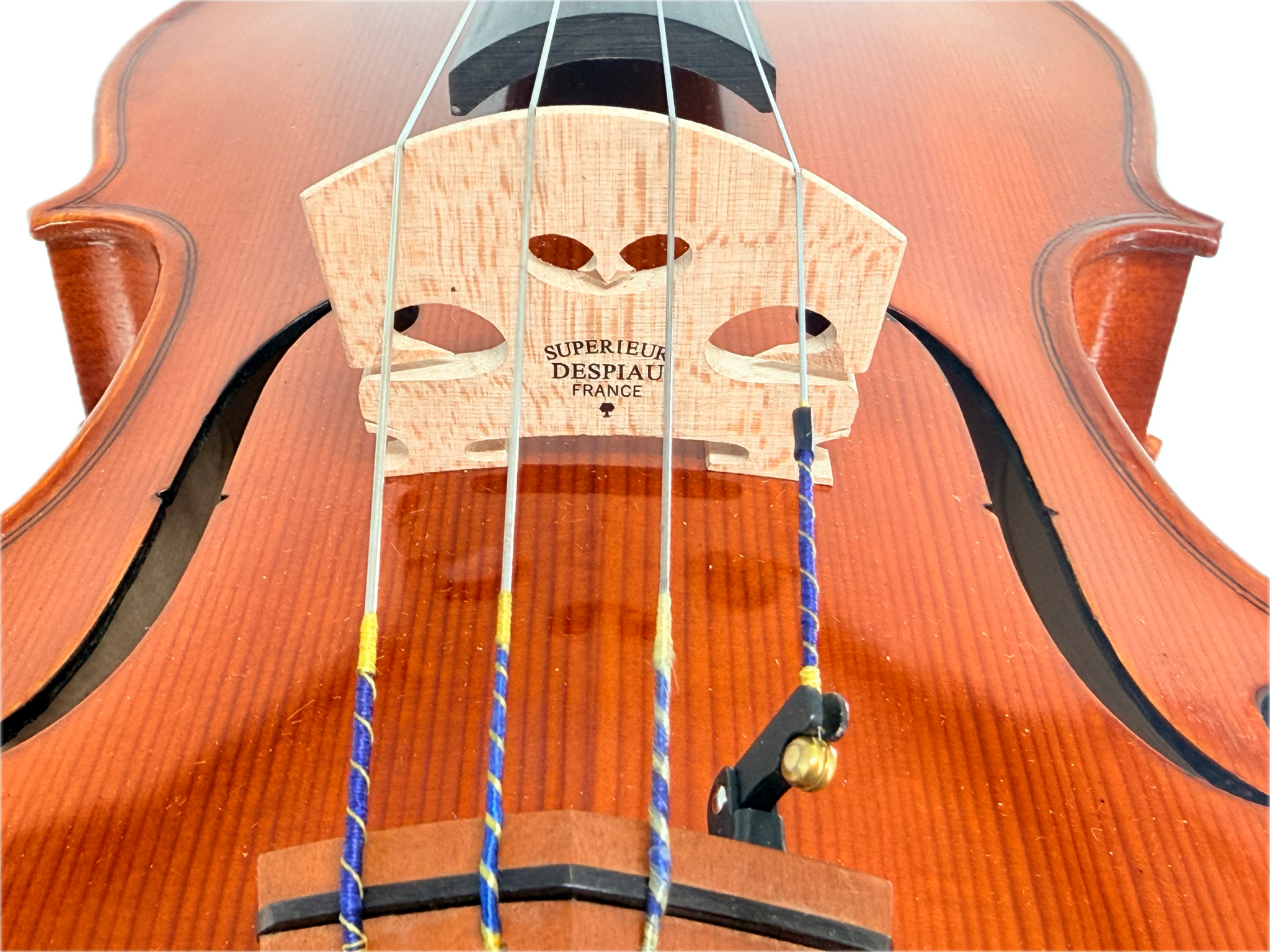 Close-up of an Eastman VA200 bridge and Helicore strings, showing a light natural wood bridge with the engraved brand name 'SUPERIEUR DESPIAU FRANCE' and blue-and-gold string tuners on a polished reddish-brown wooden  viola