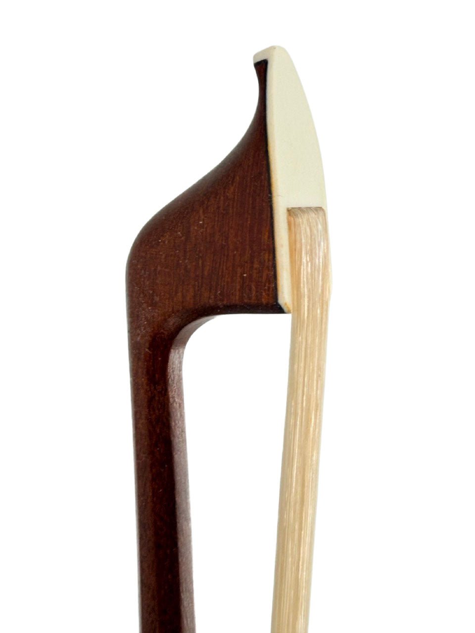 Close-up of the tip of an Artino Germany BF-319A Pernambuco Cello Bow – Octagonal, showing the curved wooden stick and tightly stretched light-colored bow hair.