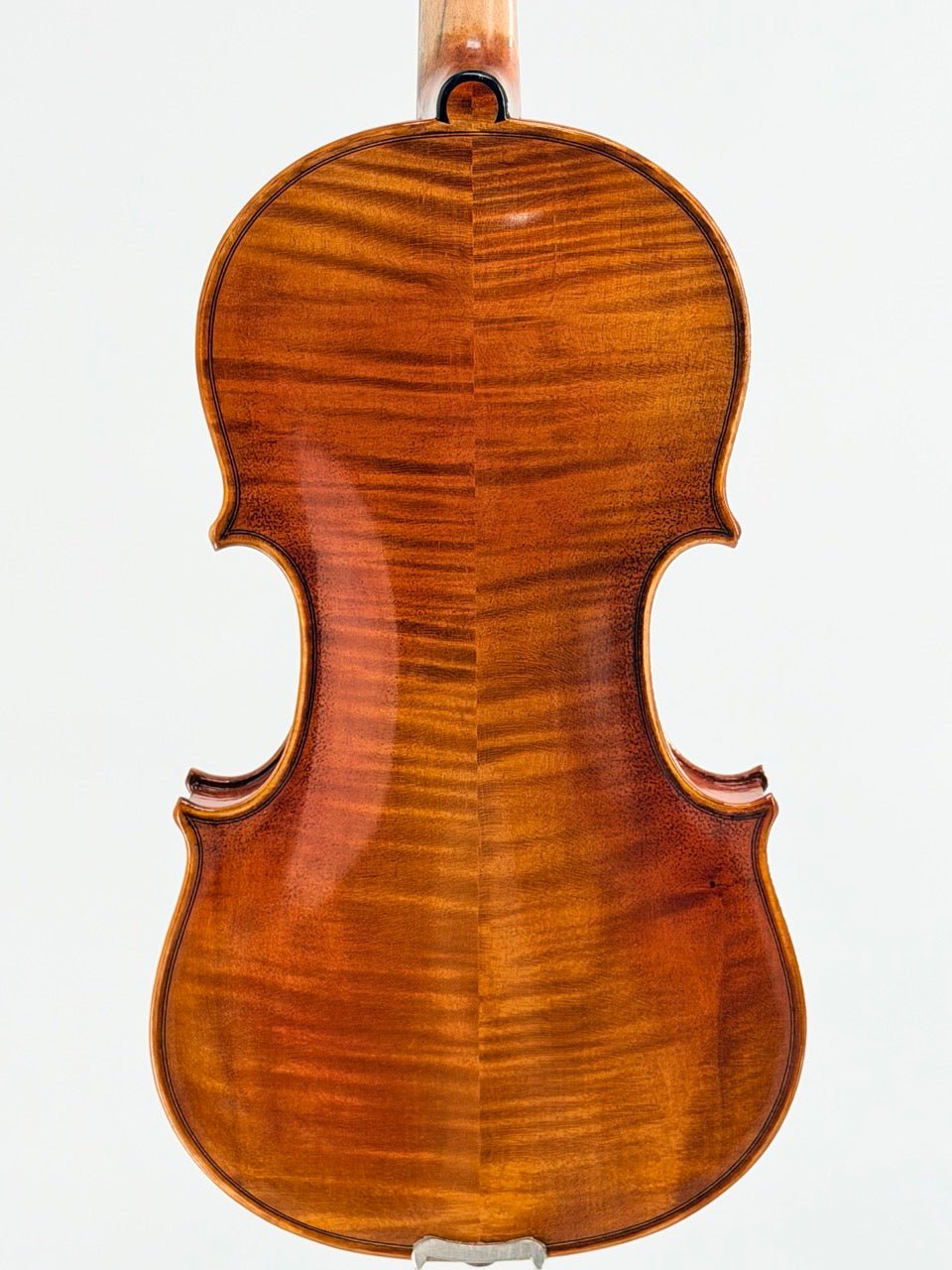 A close-up of the Atelier Violin Outfit Special's back highlights its smooth, glossy finish and rich brown wood grain, set against a plain white background.
