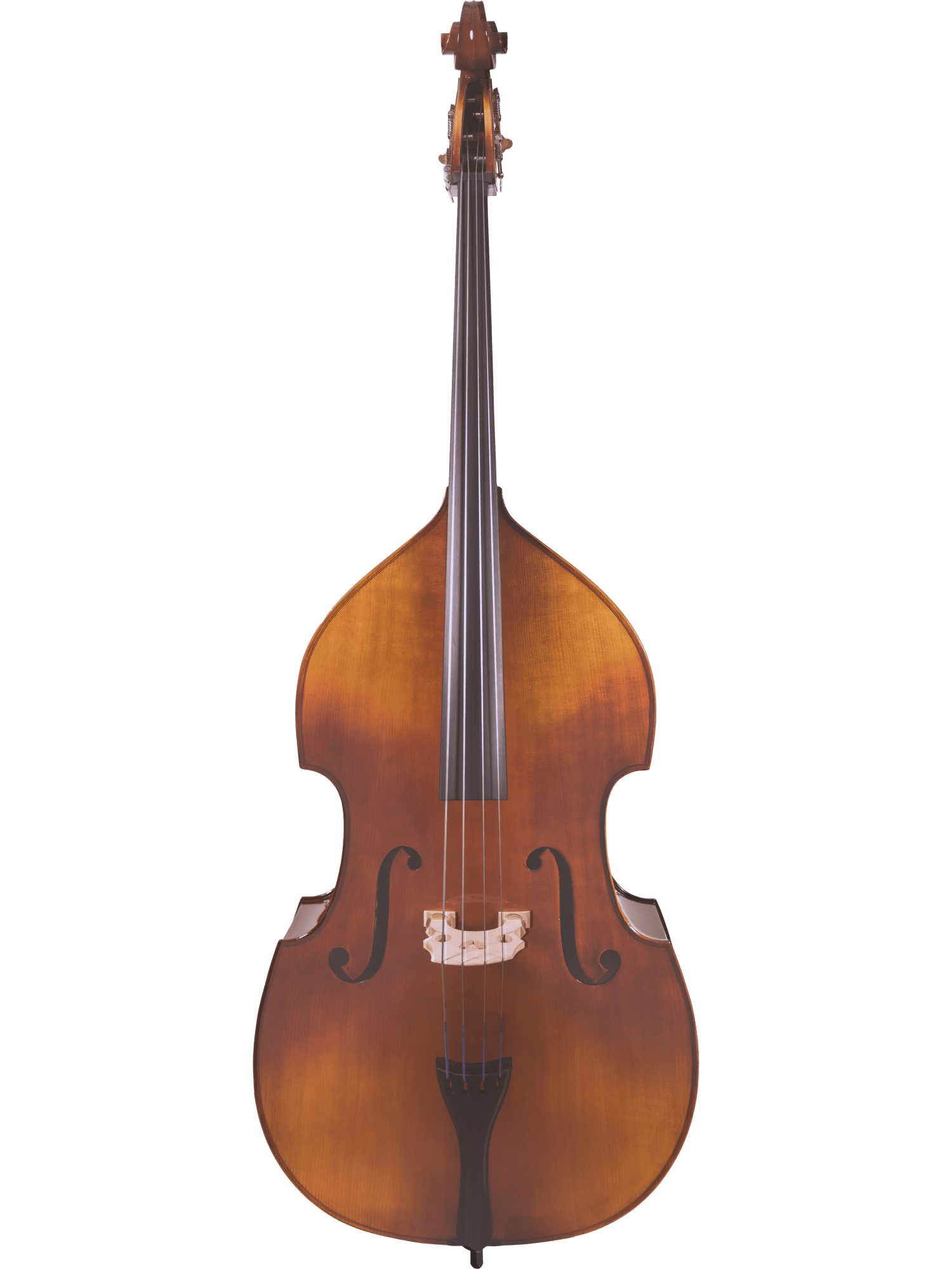 The Canzona 200 Sonata Bass Outfit is a full-sized student bass featuring a polished brown wooden body, solid spruce top, black fingerboard, and classic f-holes, shown upright against a plain white background.