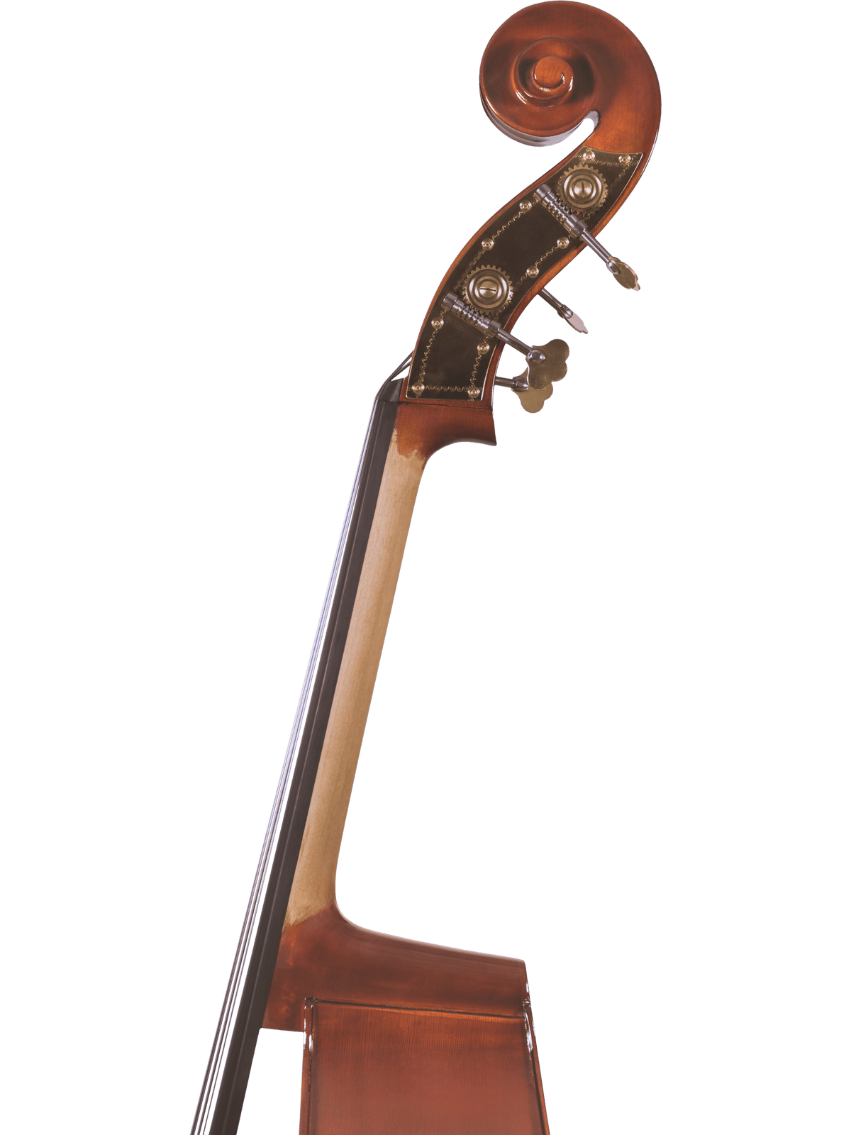 Canzona 200 Sonata Bass Outfit