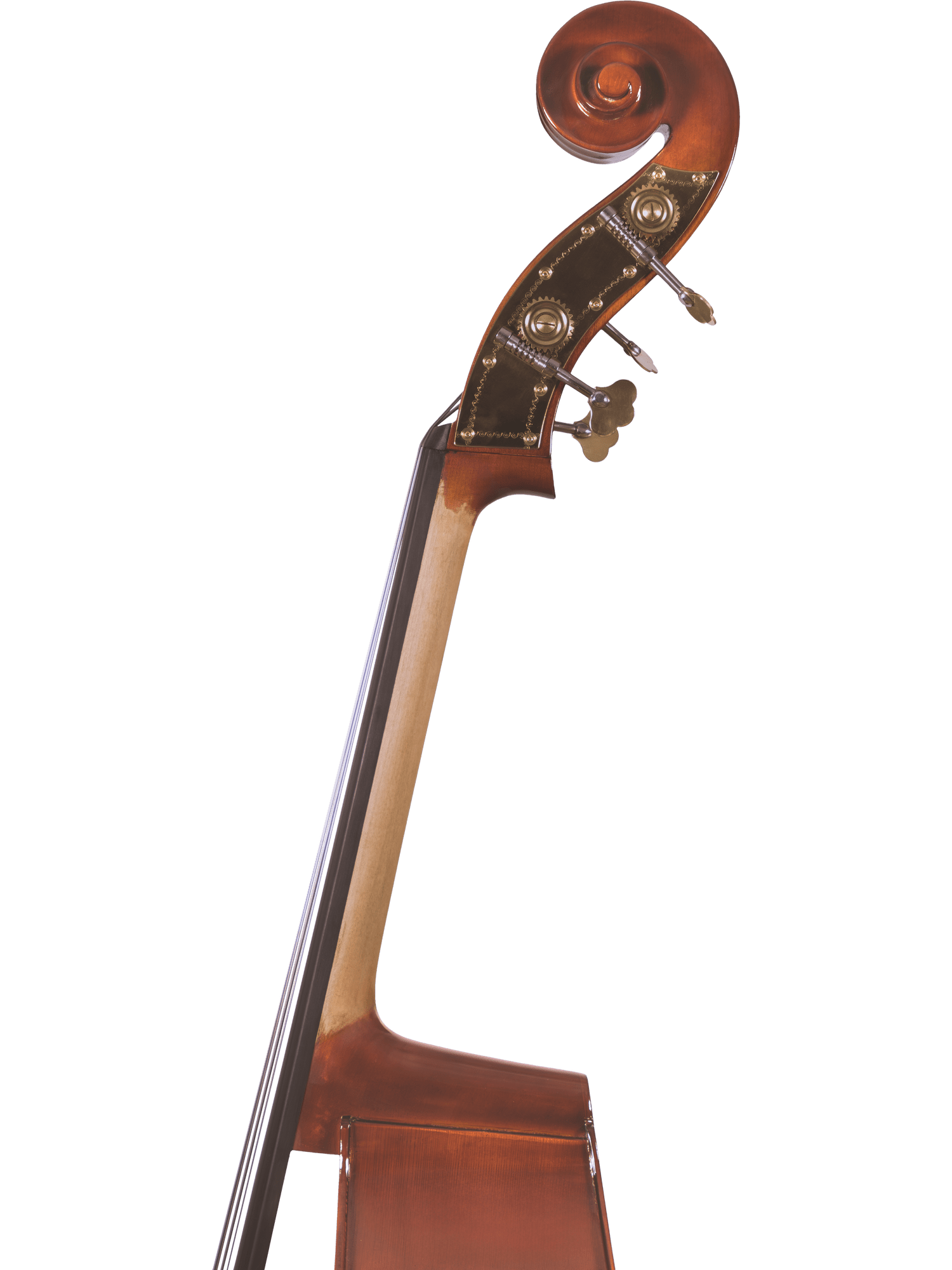 Close-up side view of the scroll, tuning pegs, and neck of the Canzona 200 Sonata Bass Outfit with a solid spruce top, set against a plain white background.