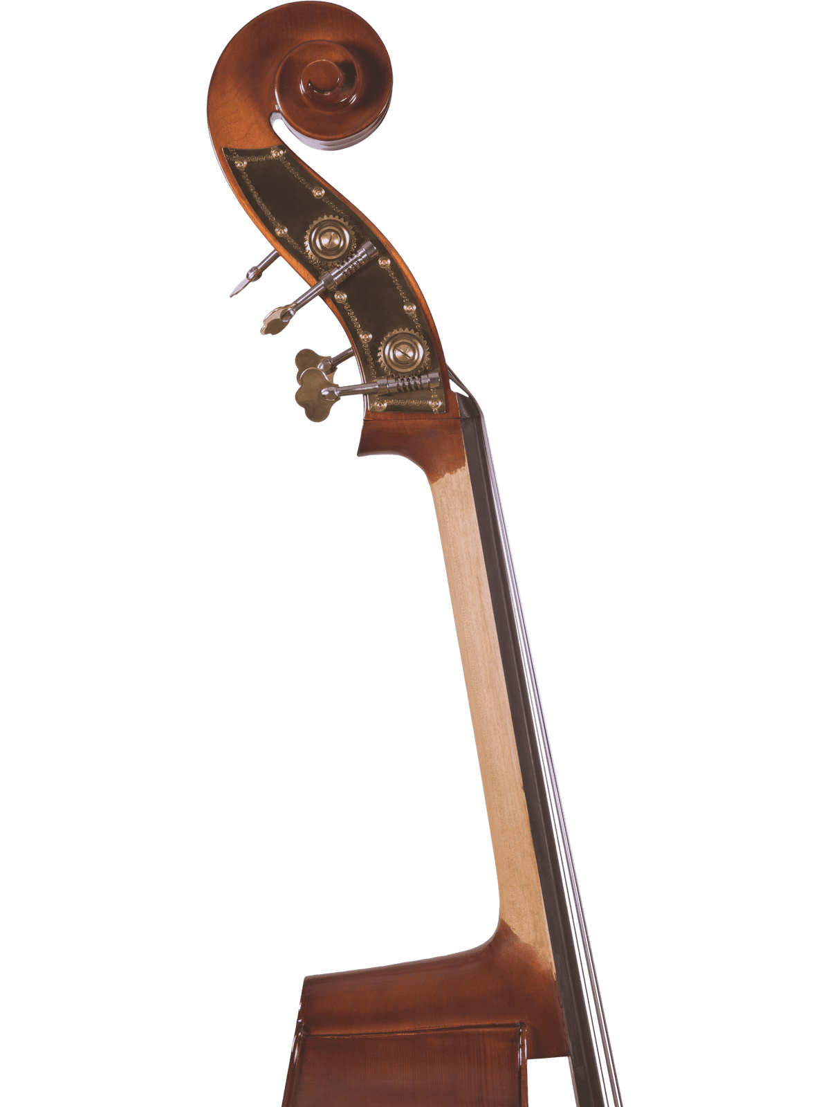 Canzona 200 Sonata Bass Outfit