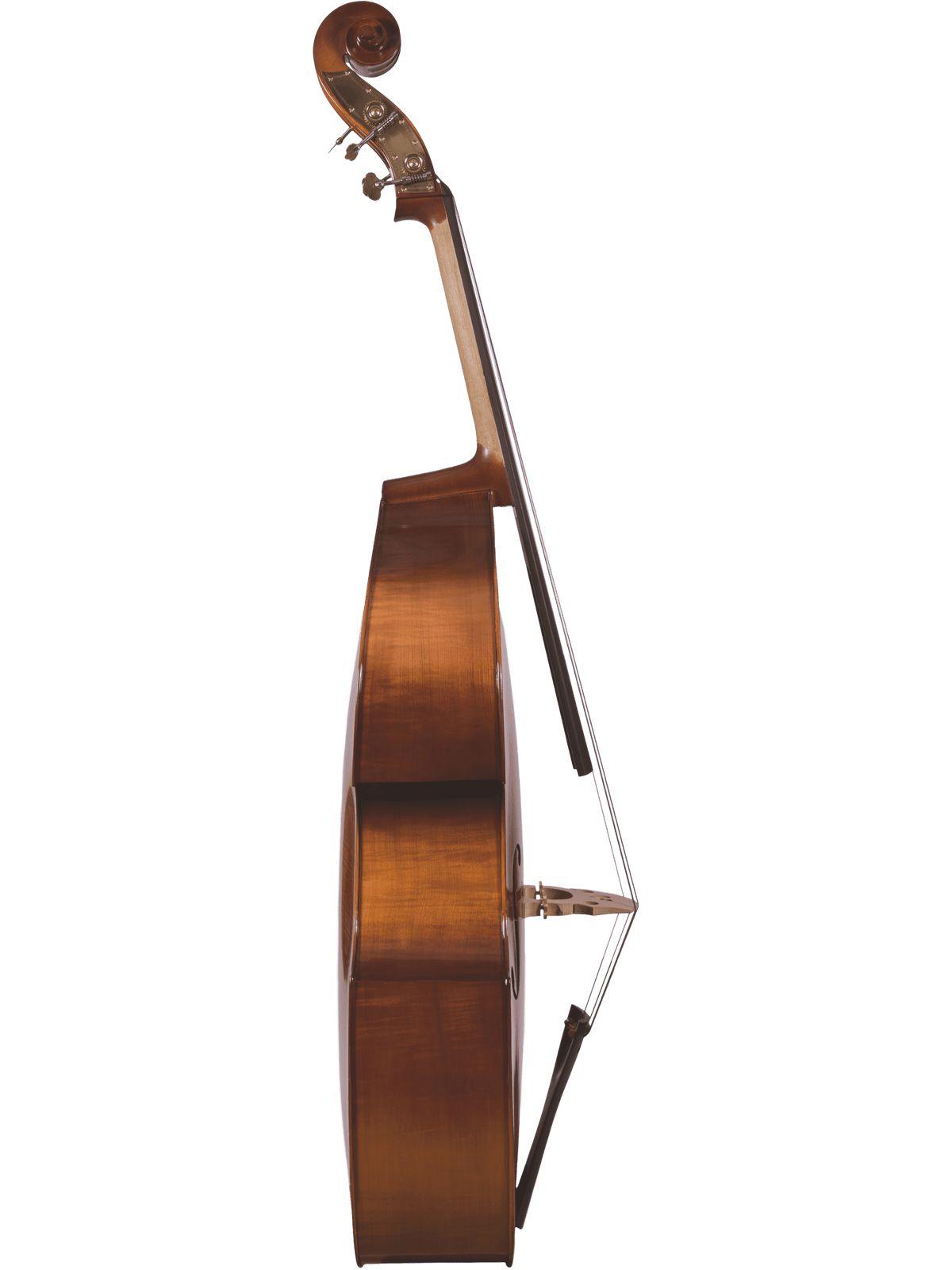 Canzona 200 Sonata Bass Outfit