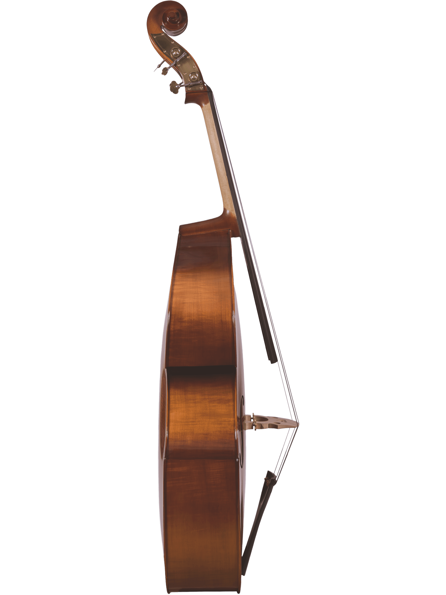 The Canzona 200 Sonata Bass Outfit, featuring a solid spruce top and curved wooden body, is displayed from the side on a white background, with its neck, tuning pegs, and bow resting against the strings clearly visible.