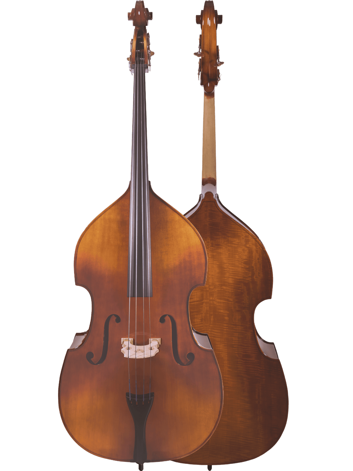 Canzona 200 Sonata Bass Outfit