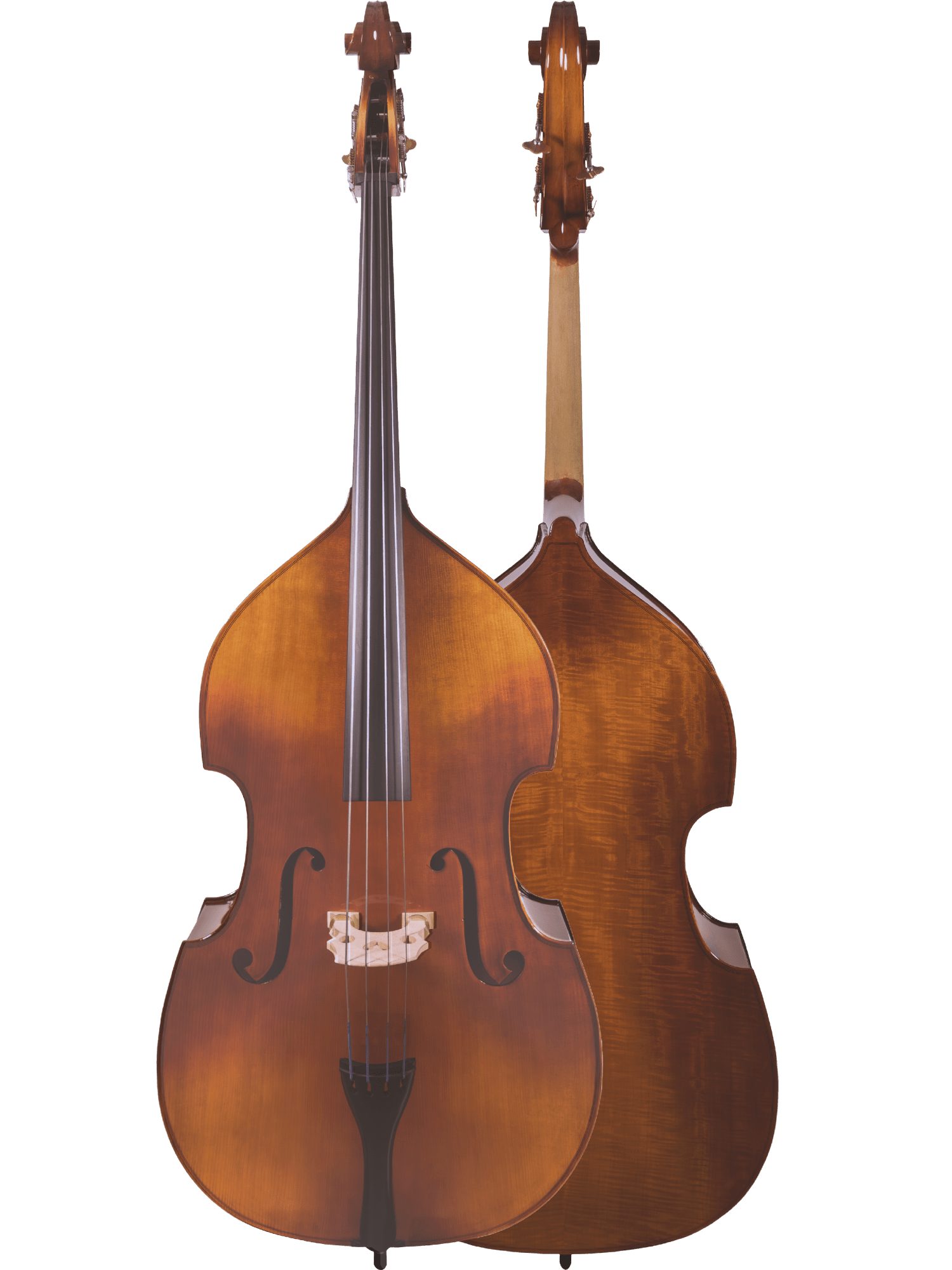 Two Canzona 200 Sonata Bass Outfit student double basses stand upright against a white background—one displays the strings and solid spruce top, while the other shows off its polished wooden back.