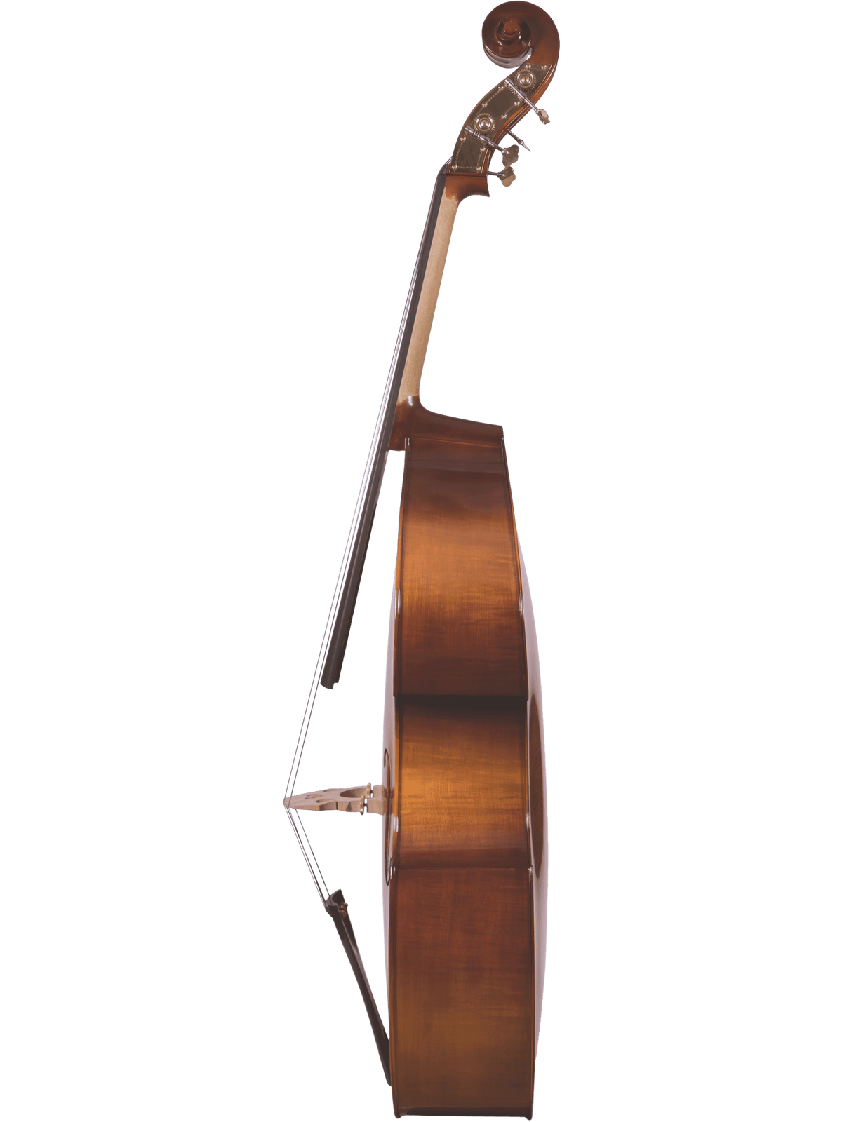 Canzona 200 Sonata Bass Outfit