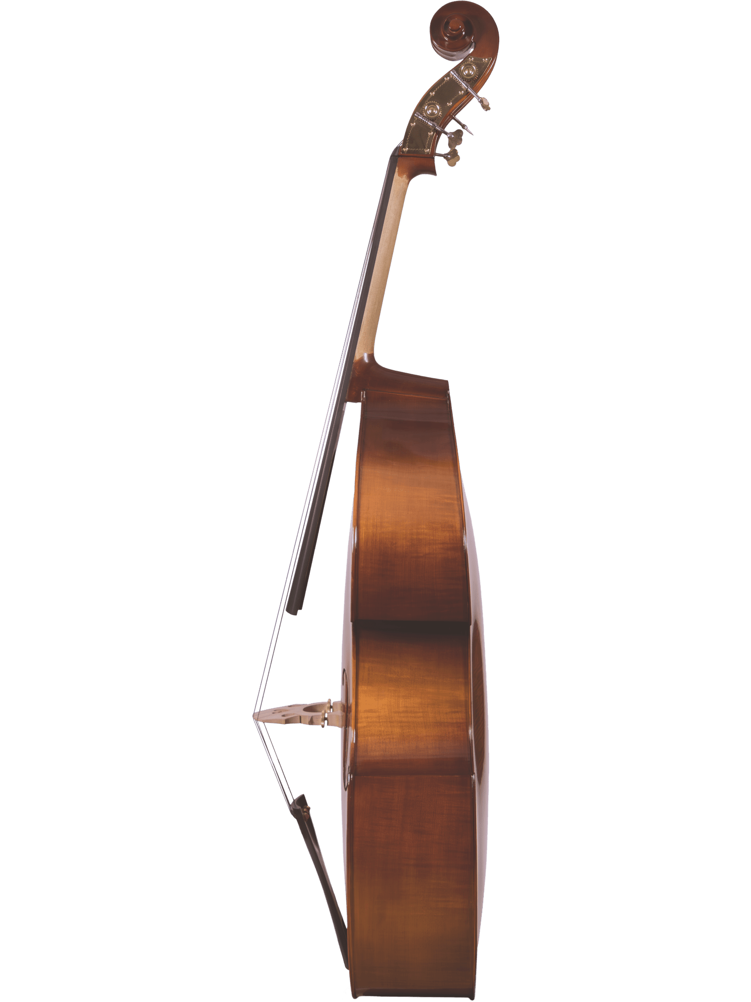Side view of a Canzona 200 Sonata Bass Outfit featuring a solid spruce top, curved wooden body, neck, scroll, and two tuning pegs. A bow leans against the bass, all displayed against a plain white background.