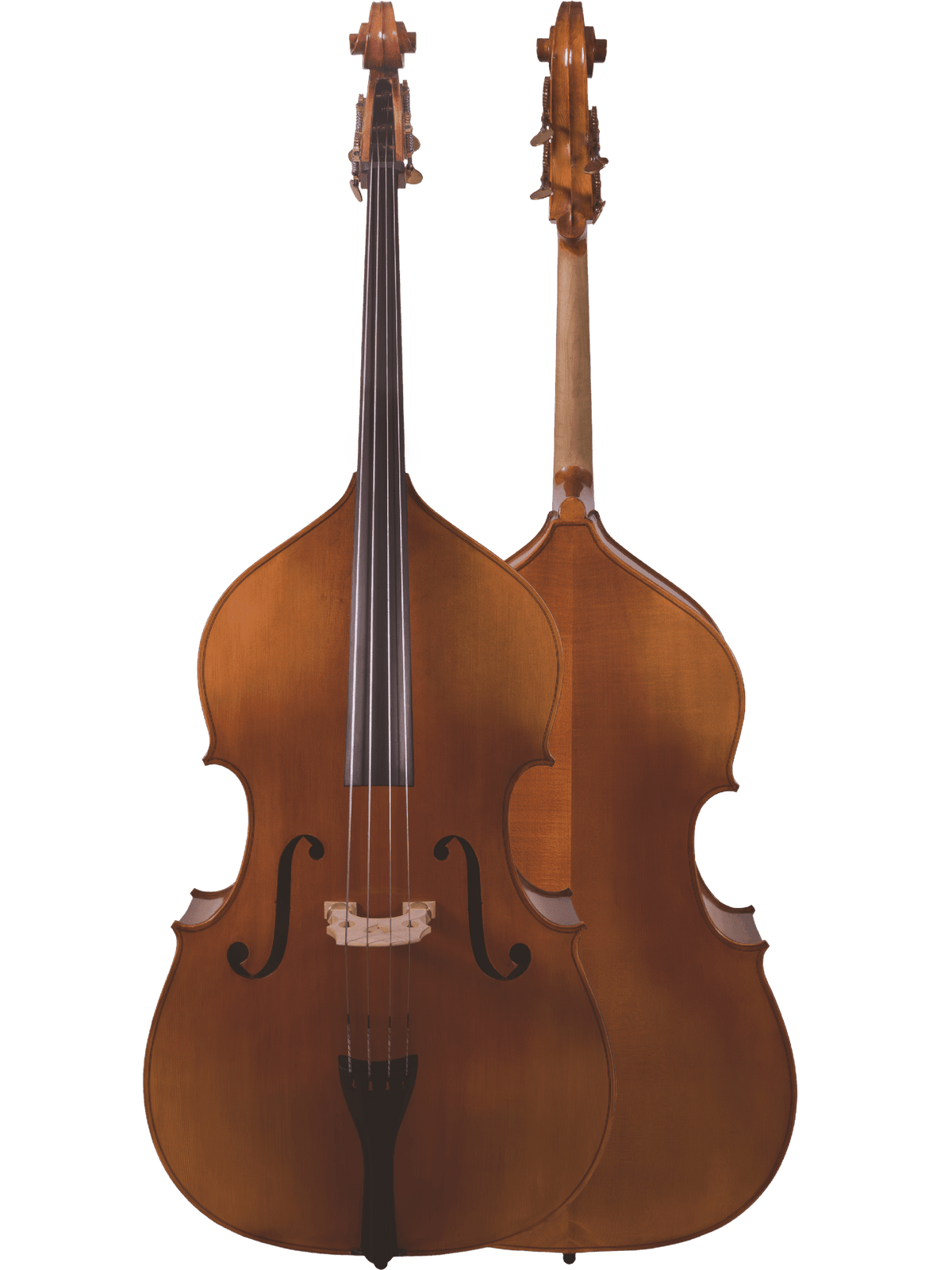 Canzona 300 Caprice Bass