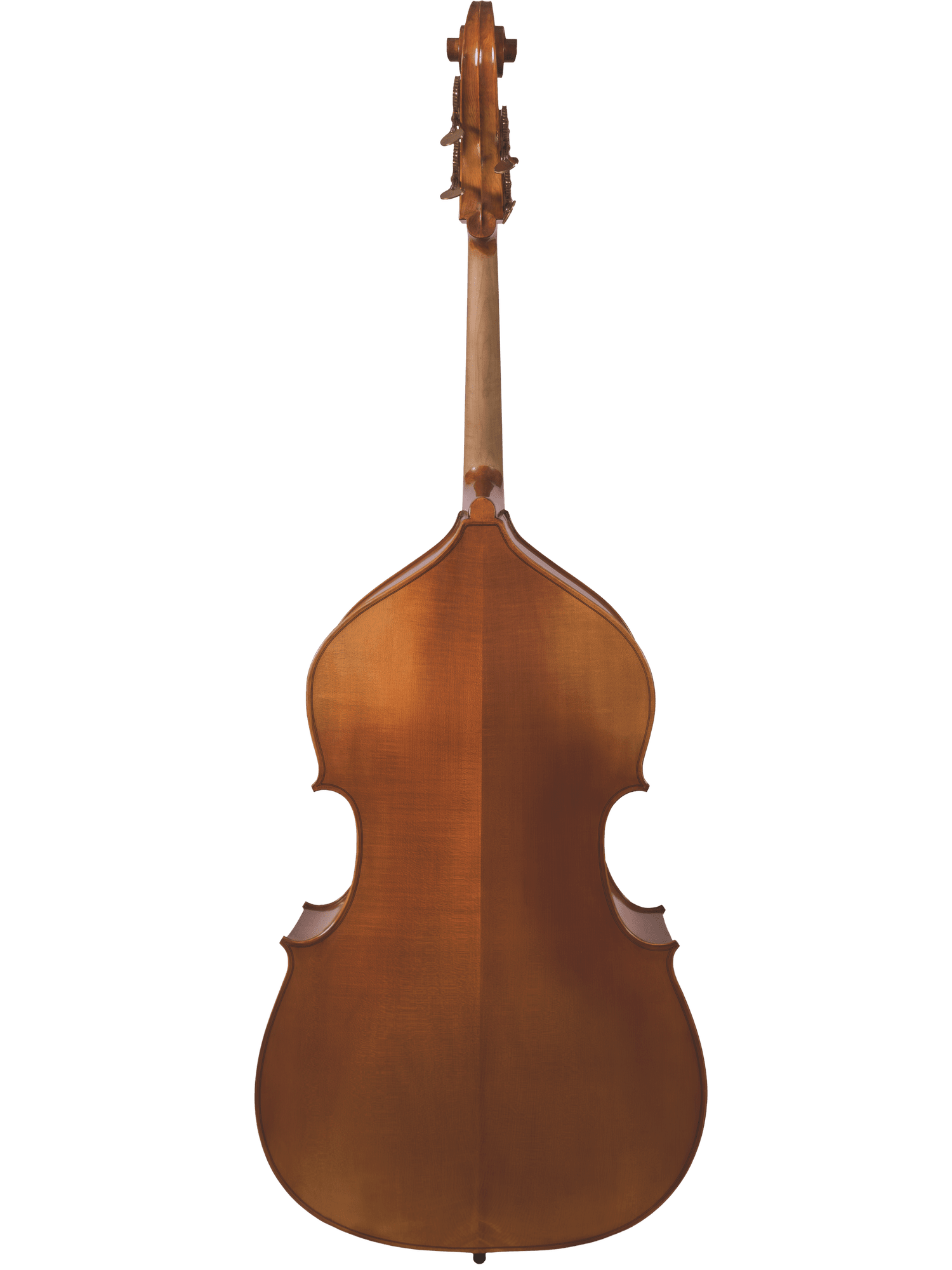 A full view of the Canzona 300 Caprice Bass’s hand-carved back shows its smooth wood, elegant curves, and tuning pegs—ideal for advancing players—set against a plain white background.