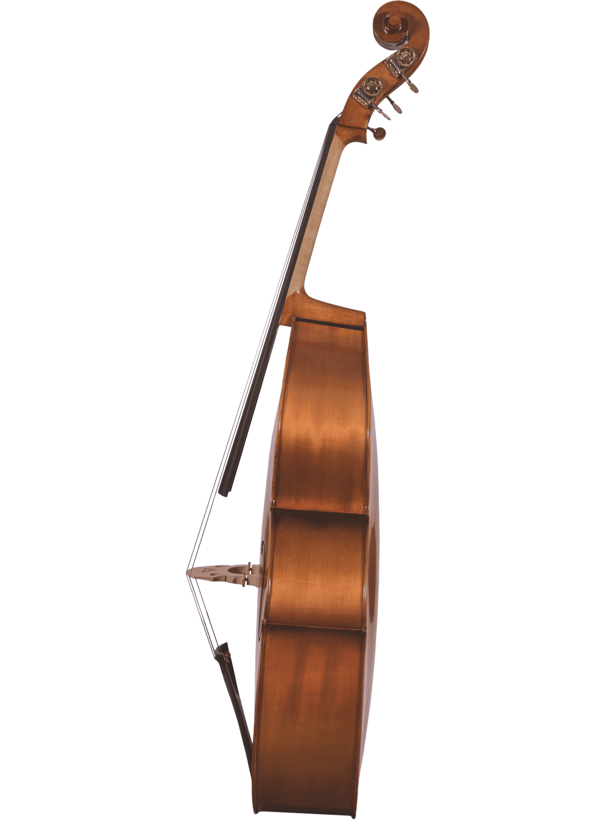 Canzona 300 Caprice Bass