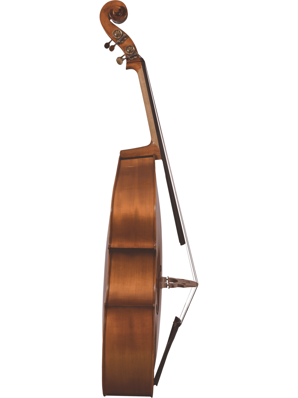 Canzona 300 Caprice Bass