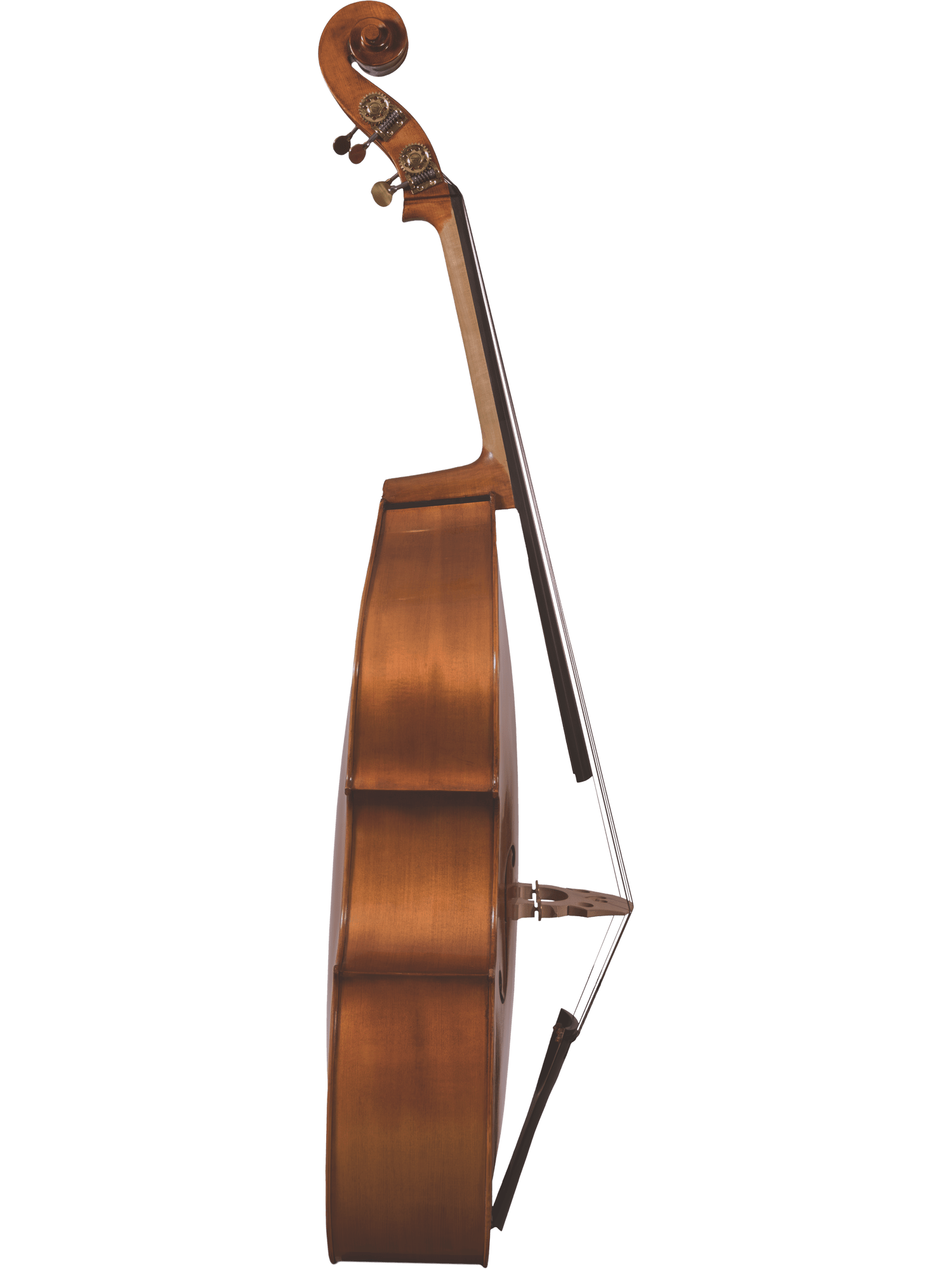 Side view of a hand-carved Canzona 300 Caprice Bass upright, highlighting its curved body, neck, tuning pegs, and strings against a plain white background—ideal for advancing players.
