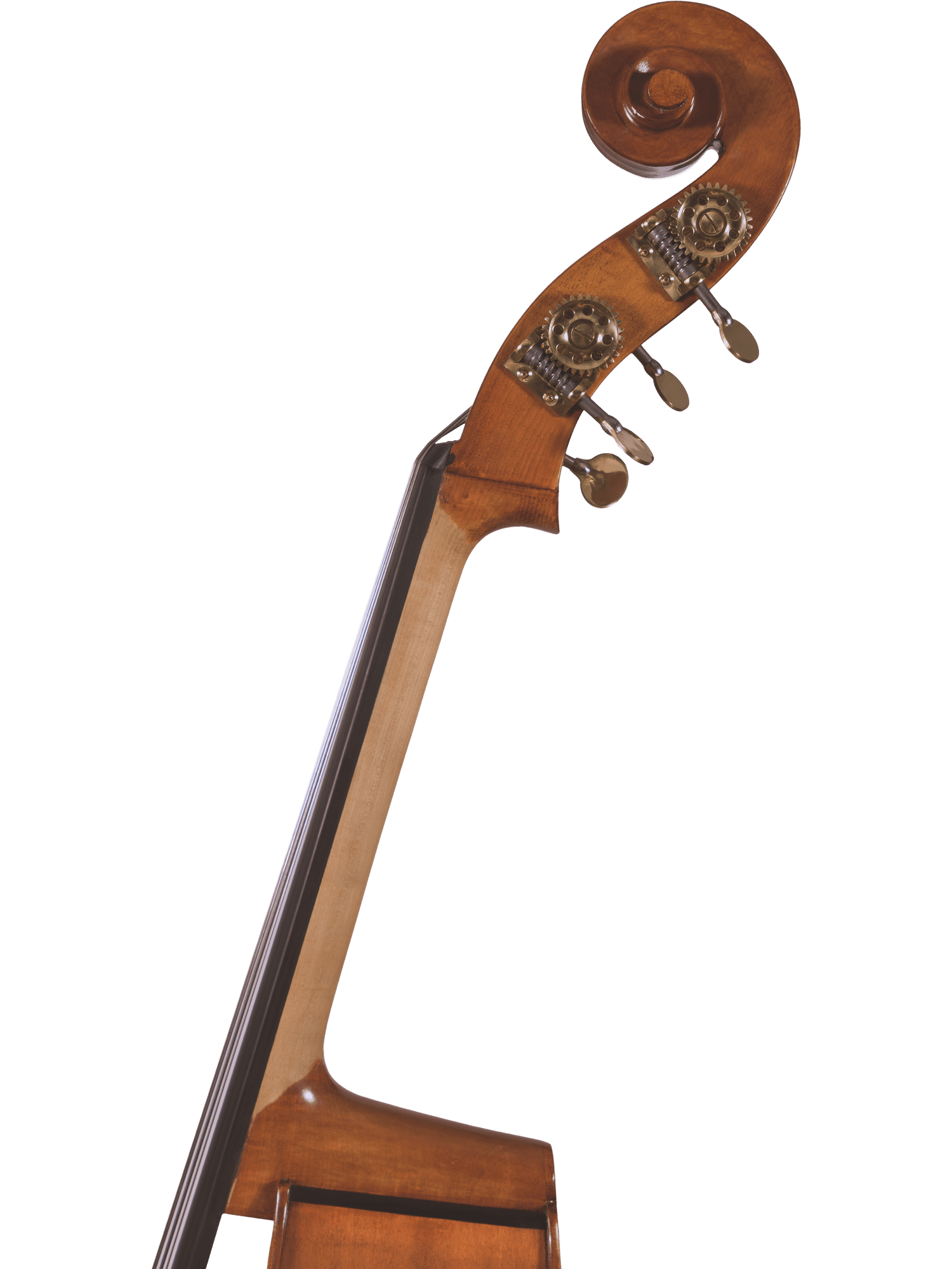 Close-up of the hand-carved scroll and tuning pegs of the Canzona 300 Caprice Bass against a white background. The polished wood and visible metal gears make this bass ideal for advancing players.