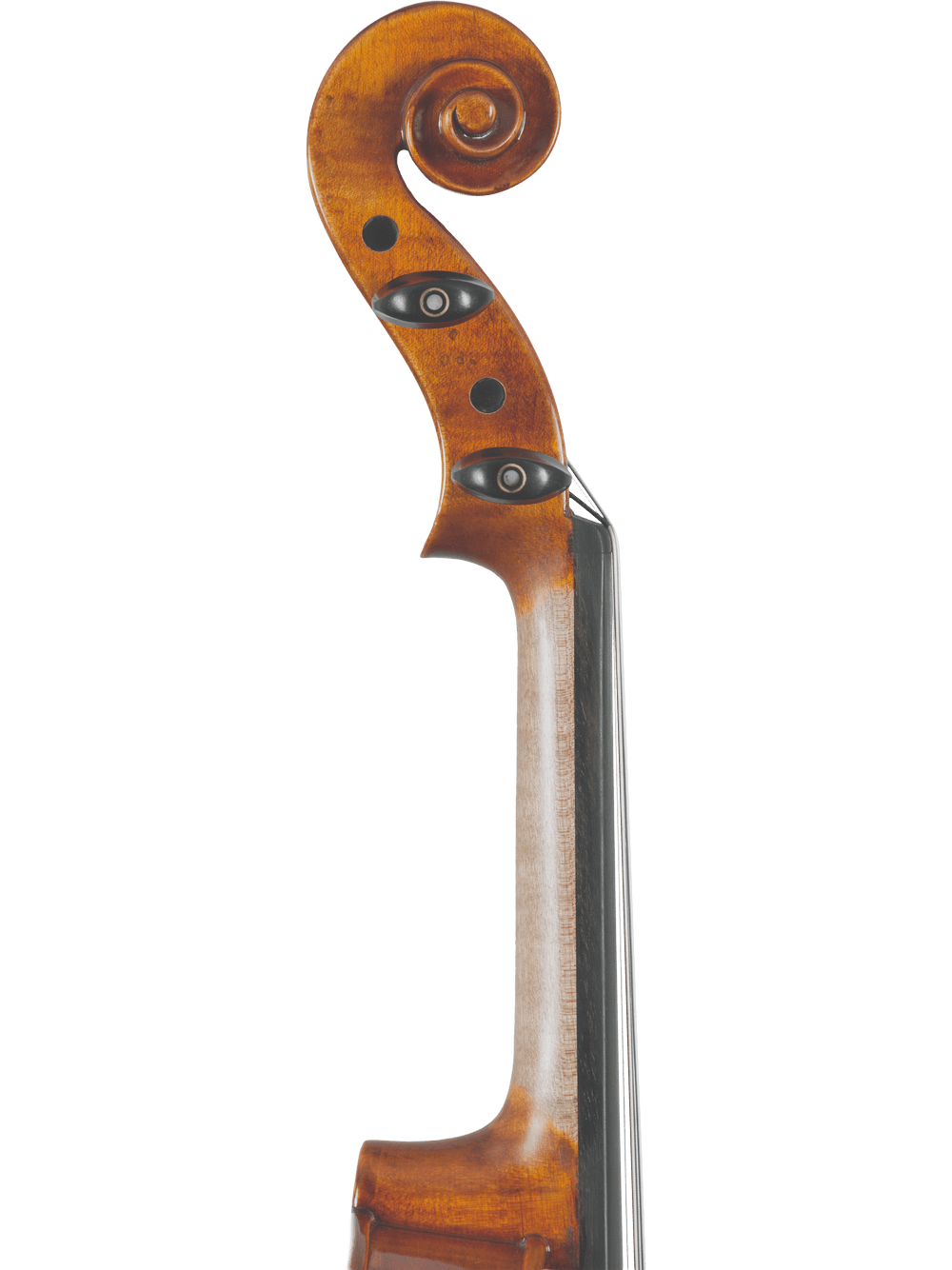 A close-up of the Canzona A. Tennyson Advanced Violin scroll features two realistic human eyes digitally added to the AAA-grade seasoned spruce, giving this advanced violin a surreal, face-like look.
